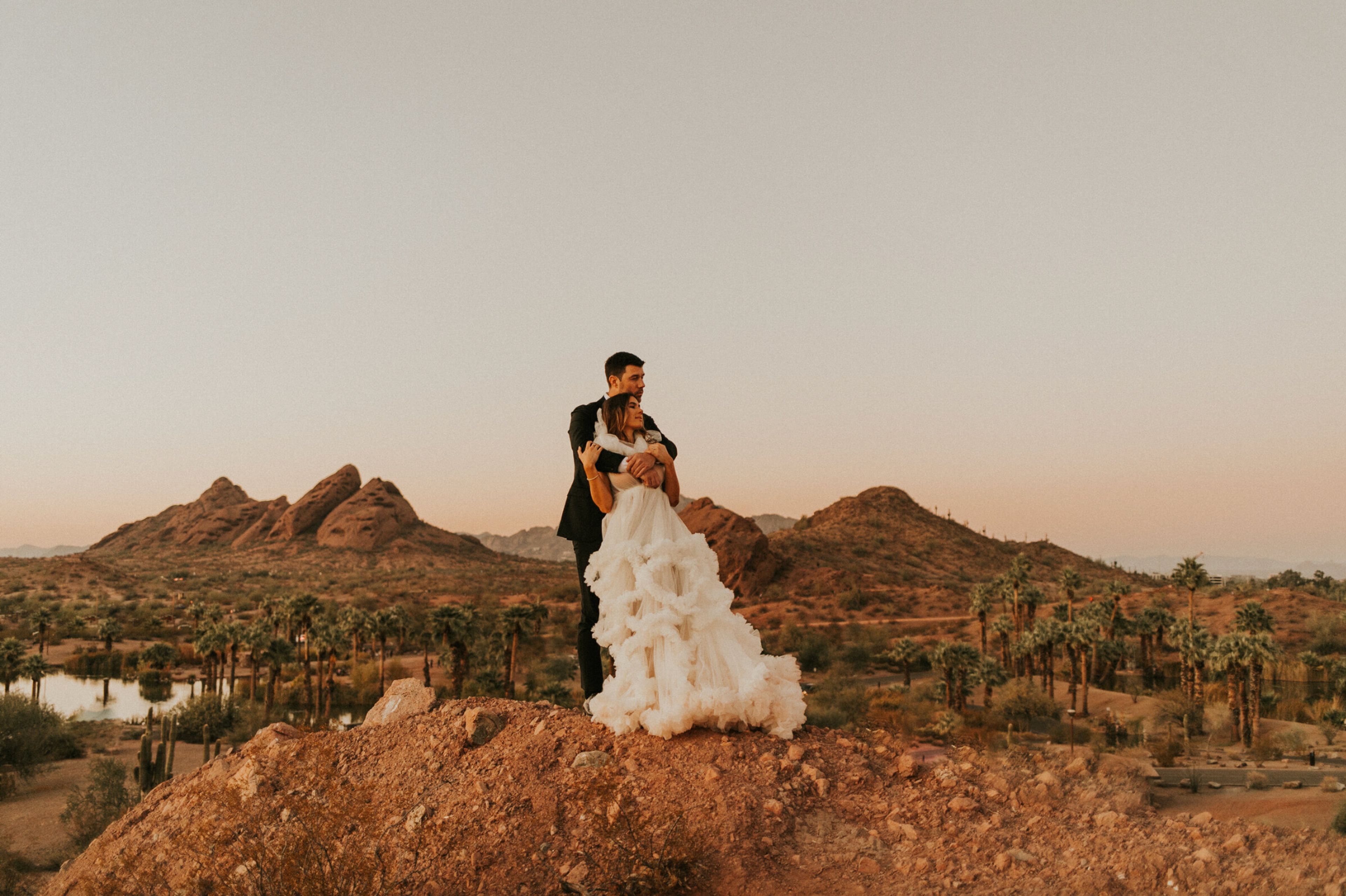 Cover photo of Cactus and Vine Photography