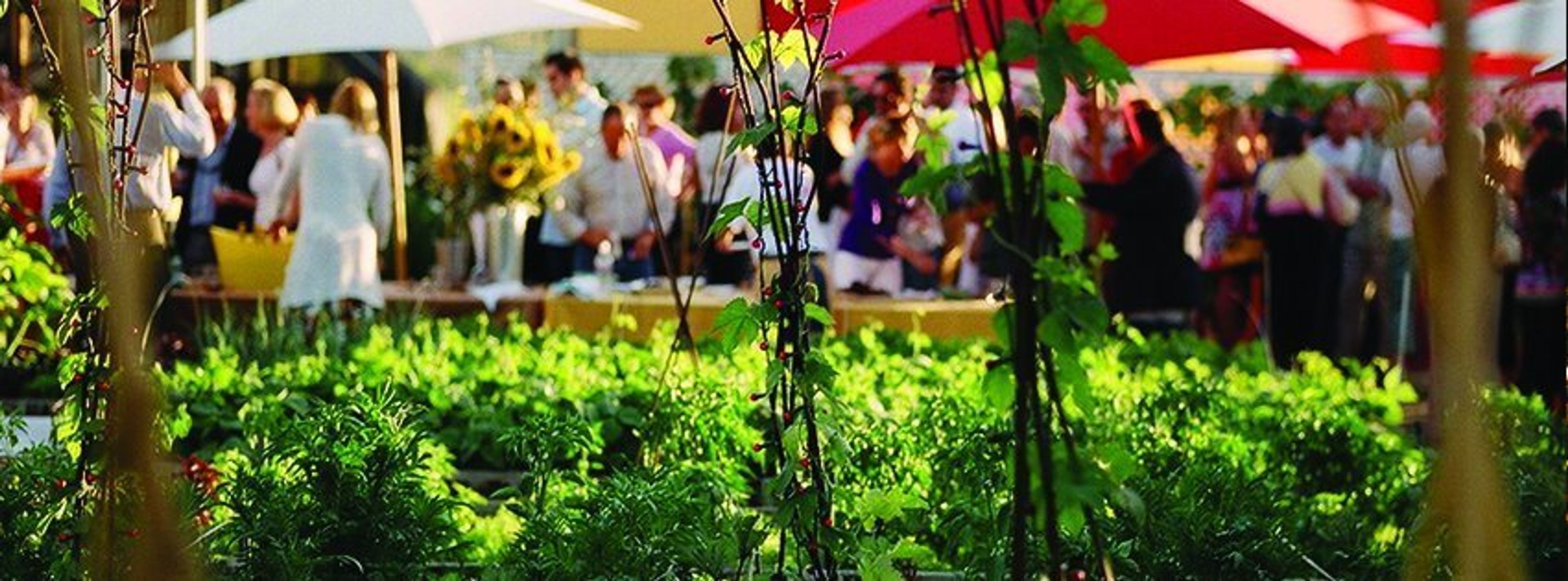 Cover photo of Cindy Pawlcyn Catering