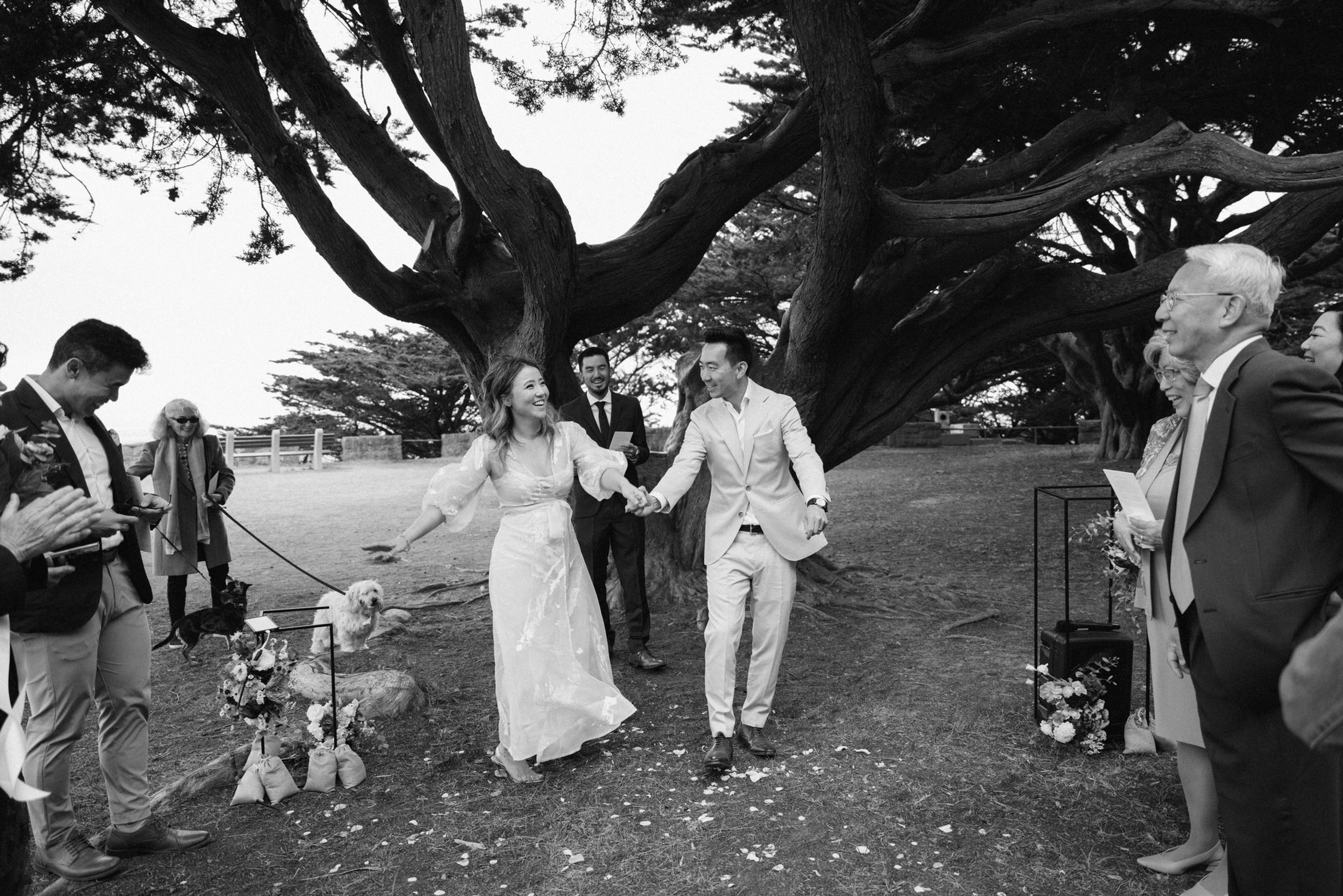 Cover photo of Lukas Korynta