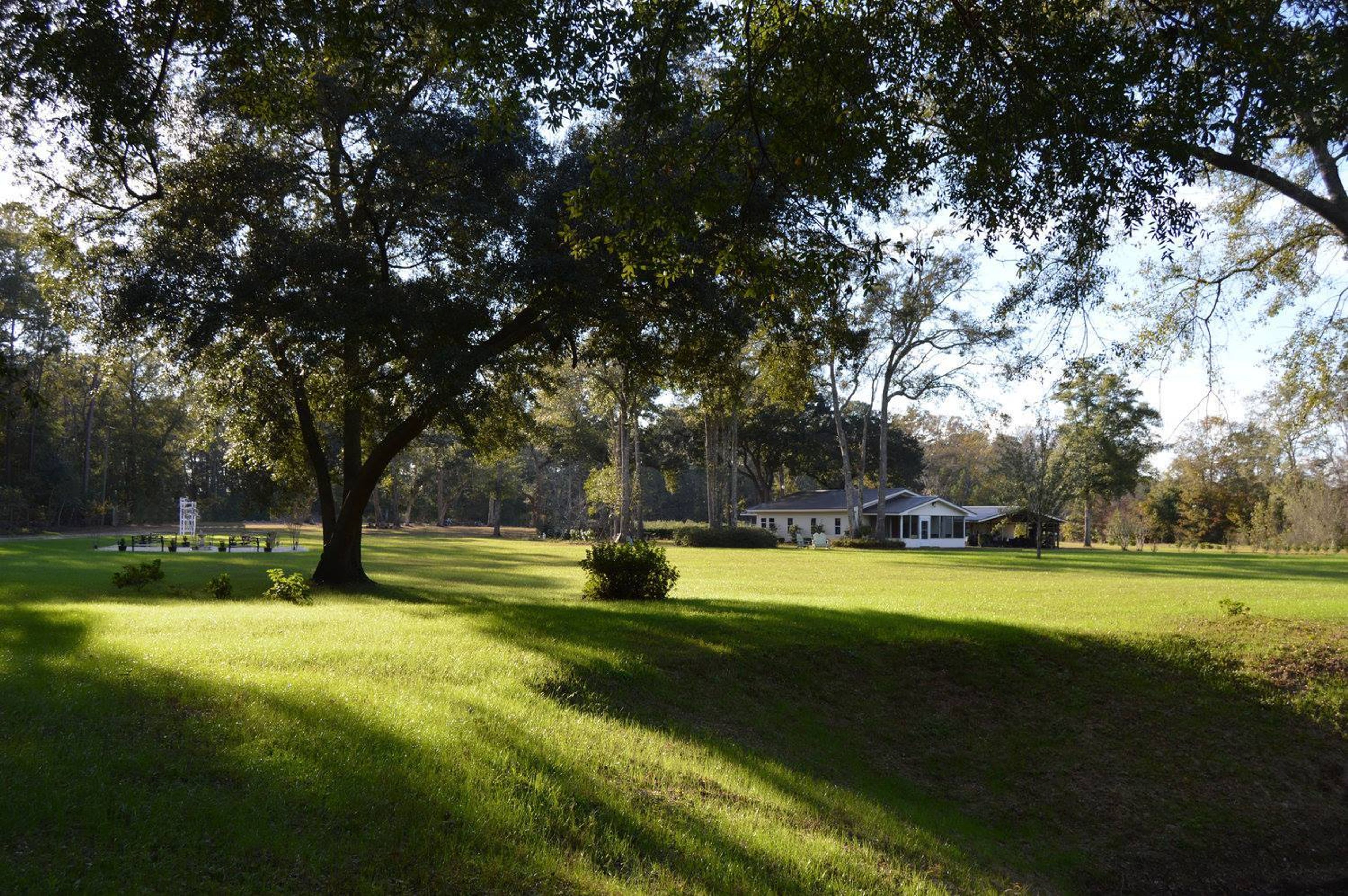 Cover photo of Dogwood Downs