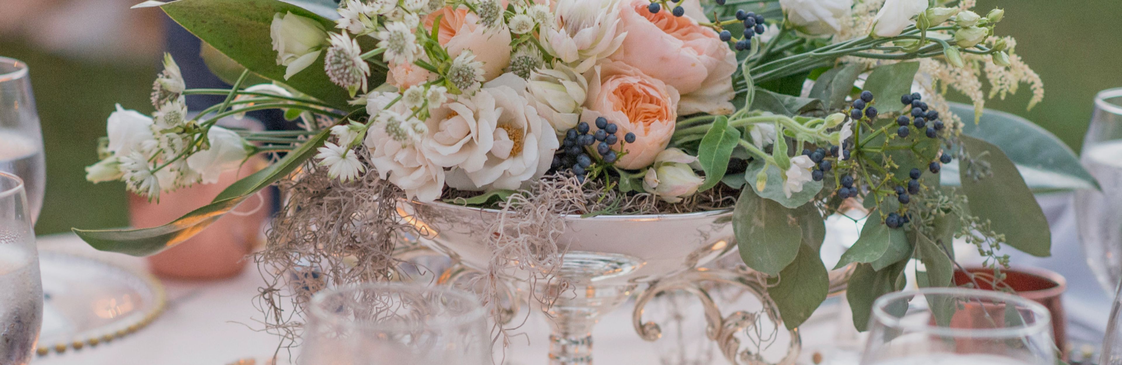 Cover photo of Tanglewood Plantation