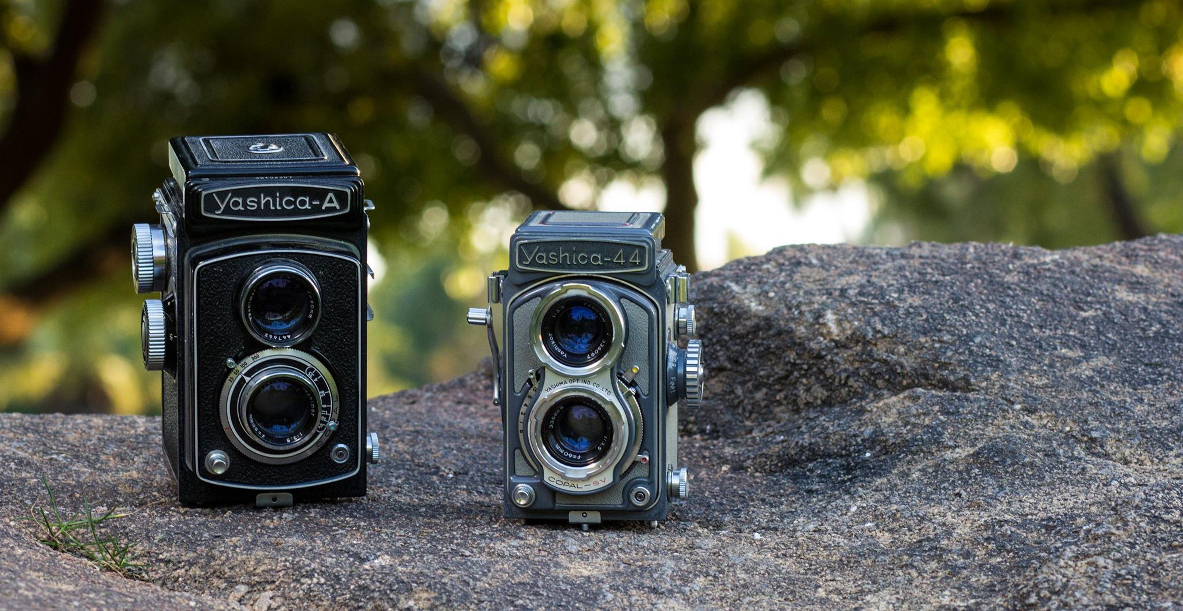 Cover photo of Twin Lens Studio