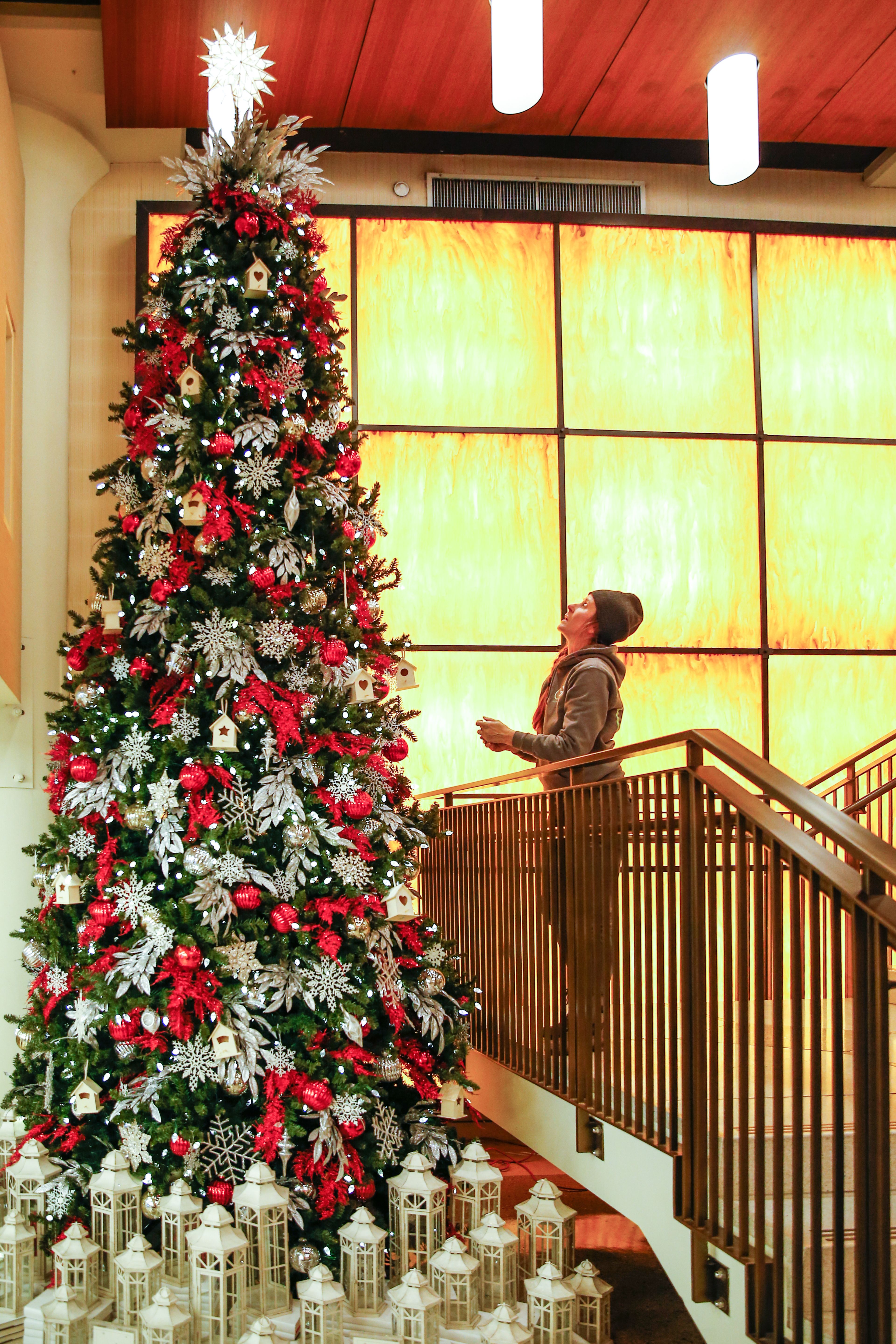 Cover photo of QG Floral+Landscape