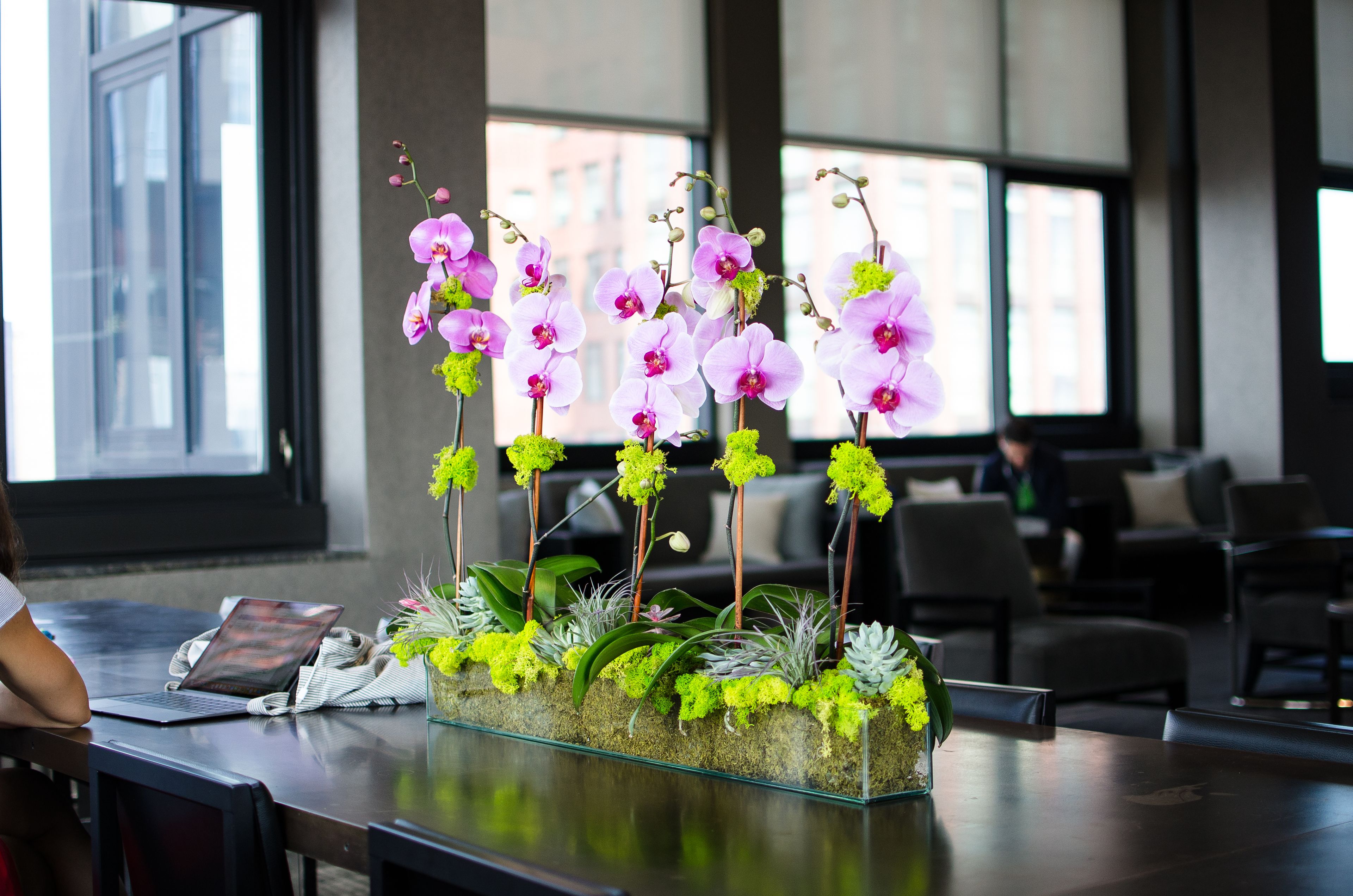 Cover photo of QG Floral+Landscape