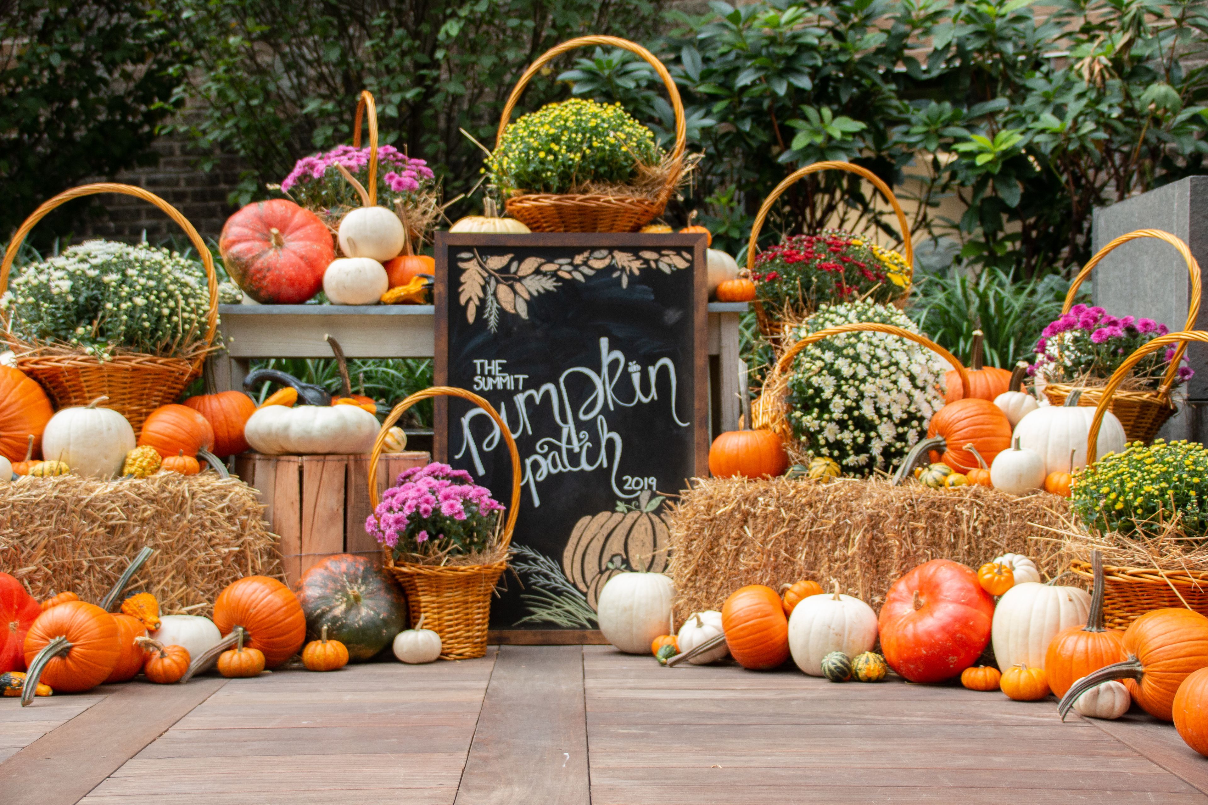 Cover photo of QG Floral+Landscape