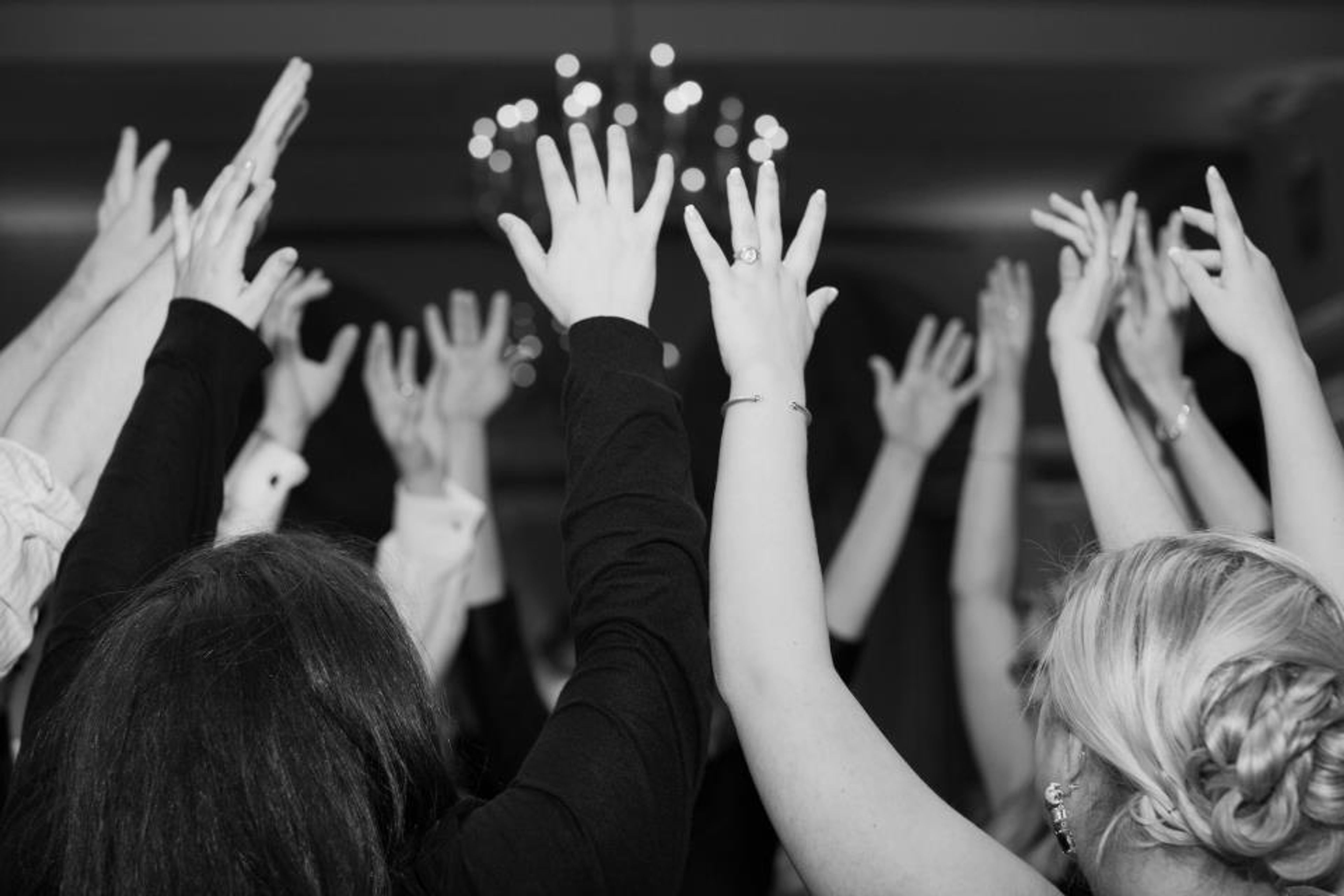 Cover photo of The Party Music