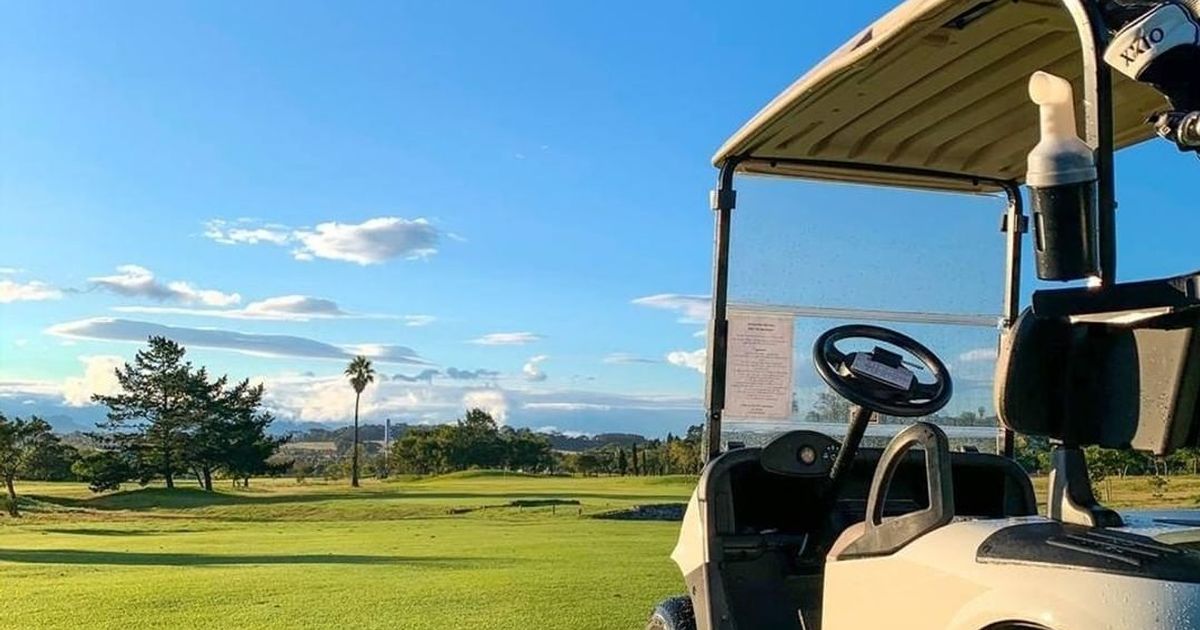 Go With Garrett's Golf Cars and Specialty Vehicles LLC | Charleston ...