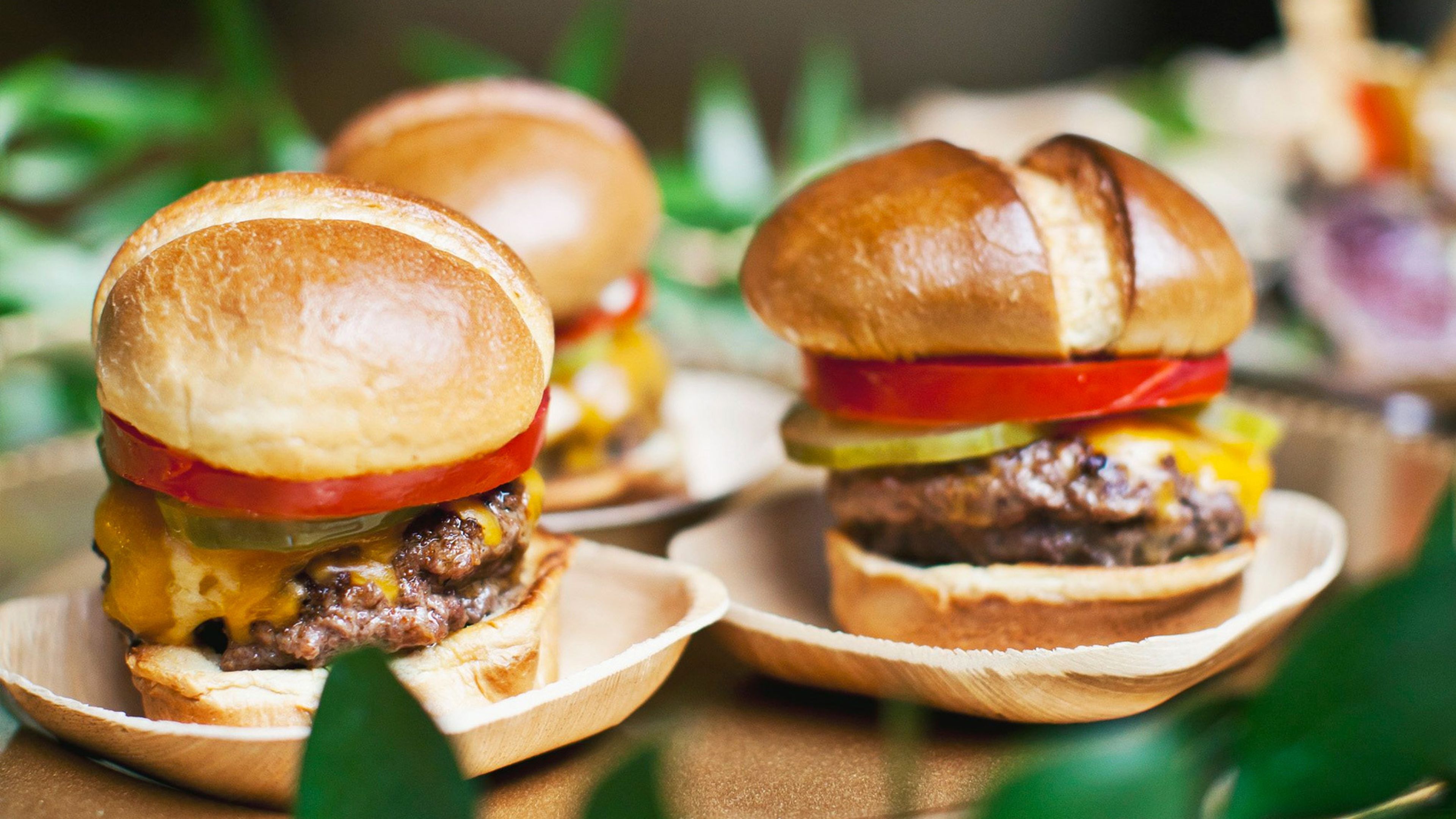 Cover photo of Curiocity Catering