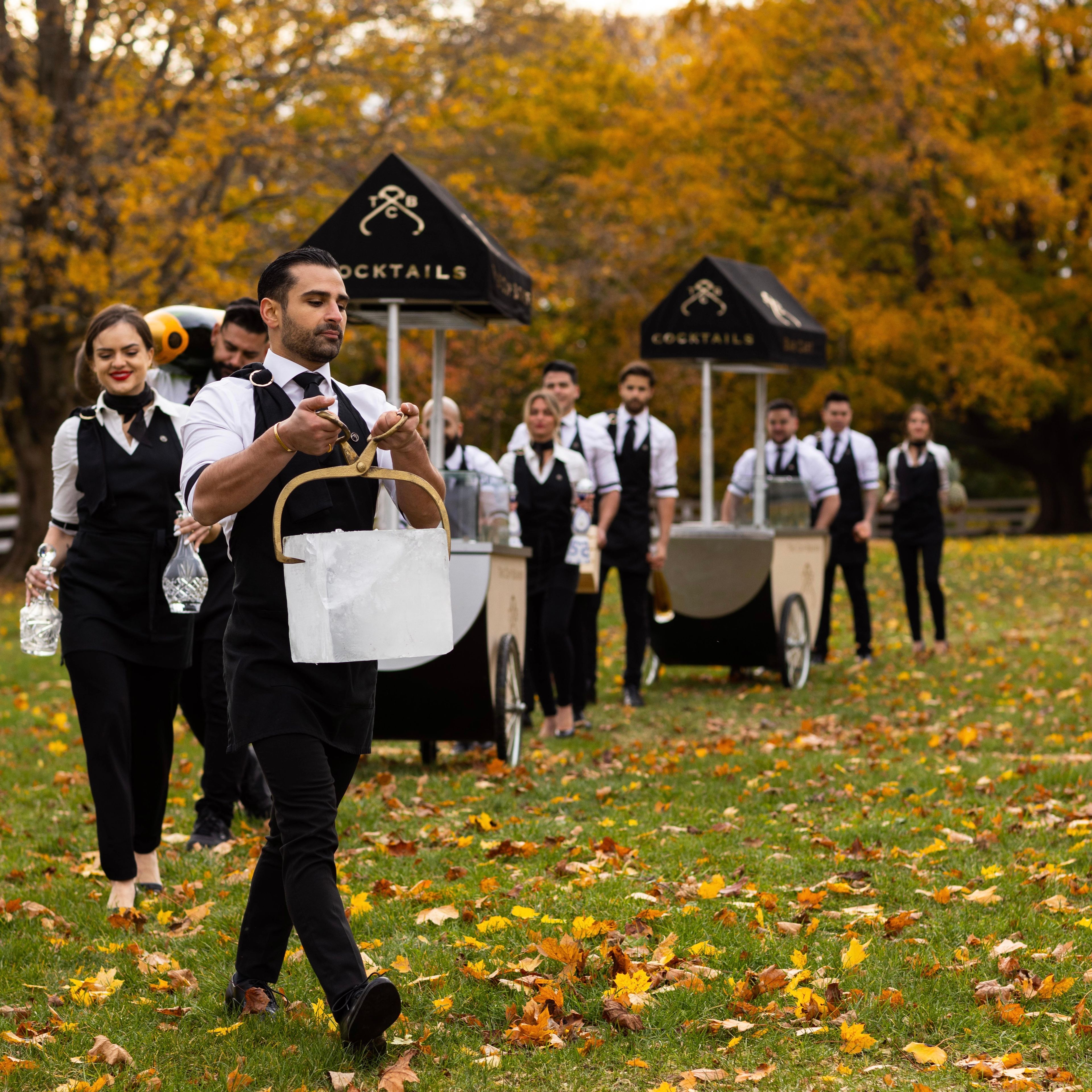 Cover photo of The Cup Bearer