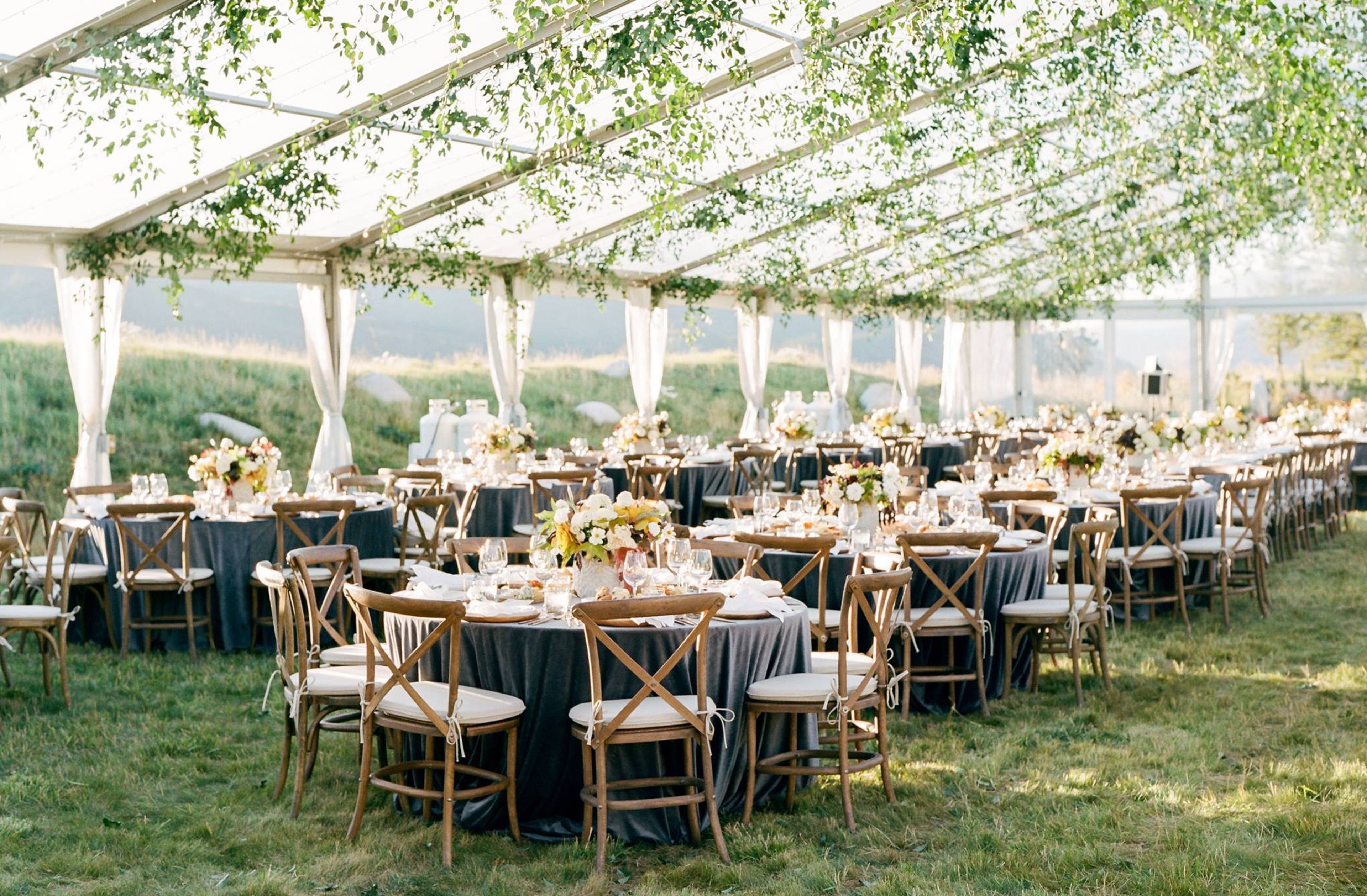 Cover photo of Premier Party Rental