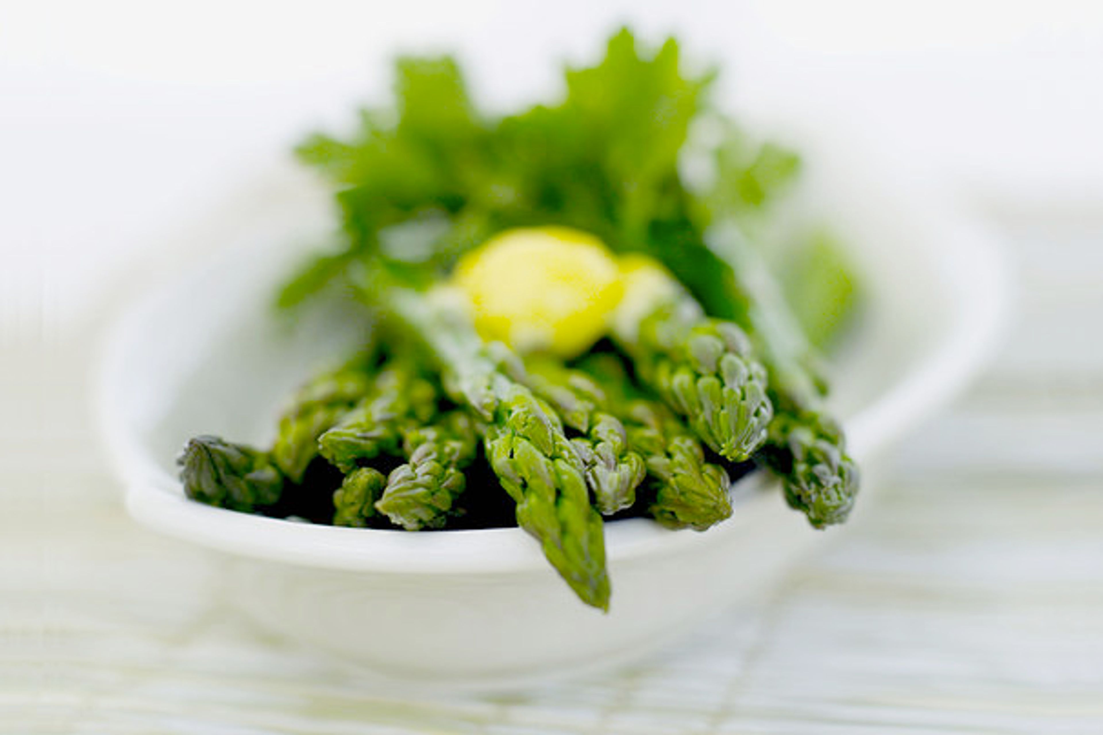 Cover photo of Root Cellar