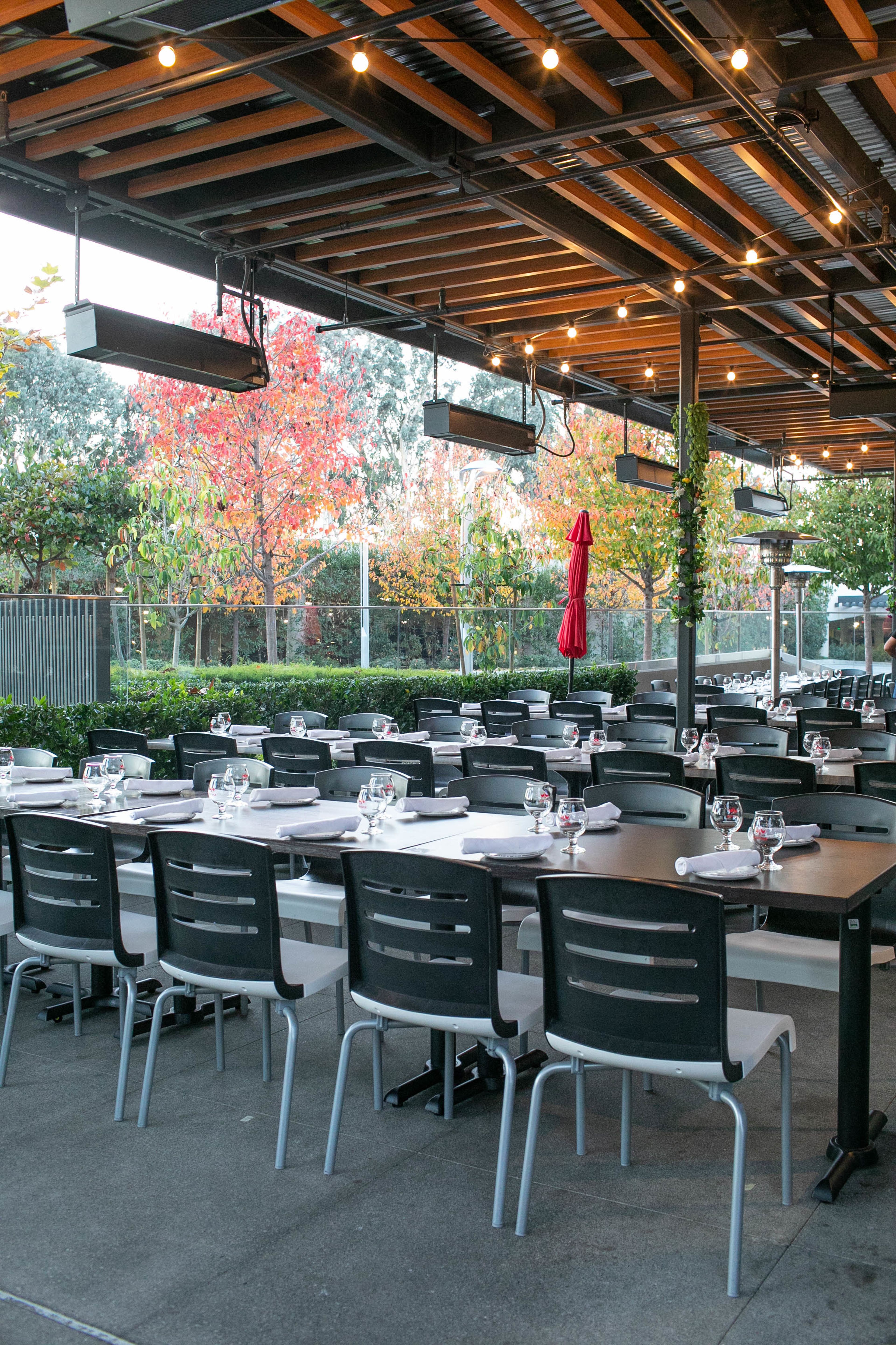 Cover photo of The Refuge San Mateo