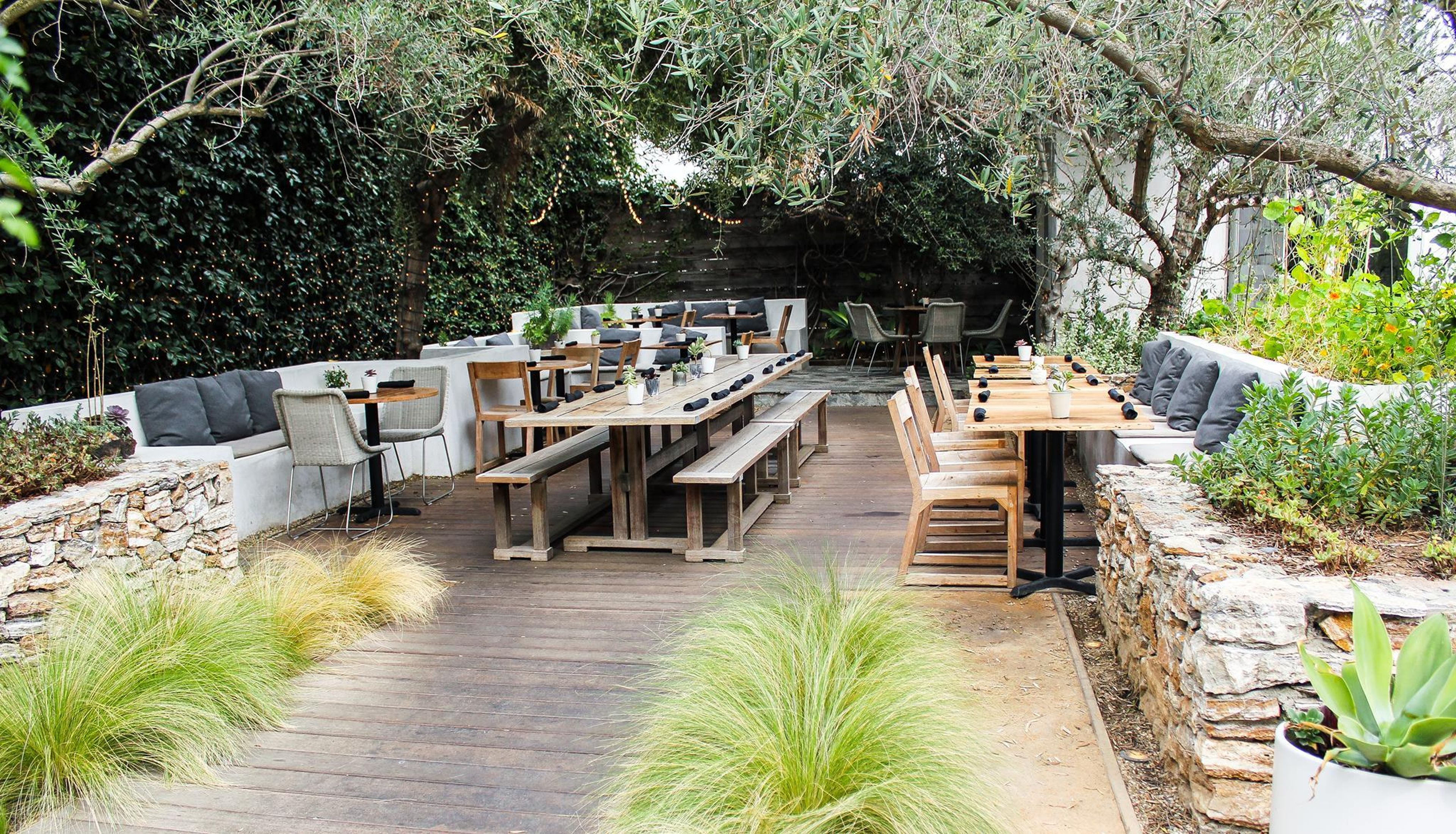 Cover photo of Plant Food + Wine