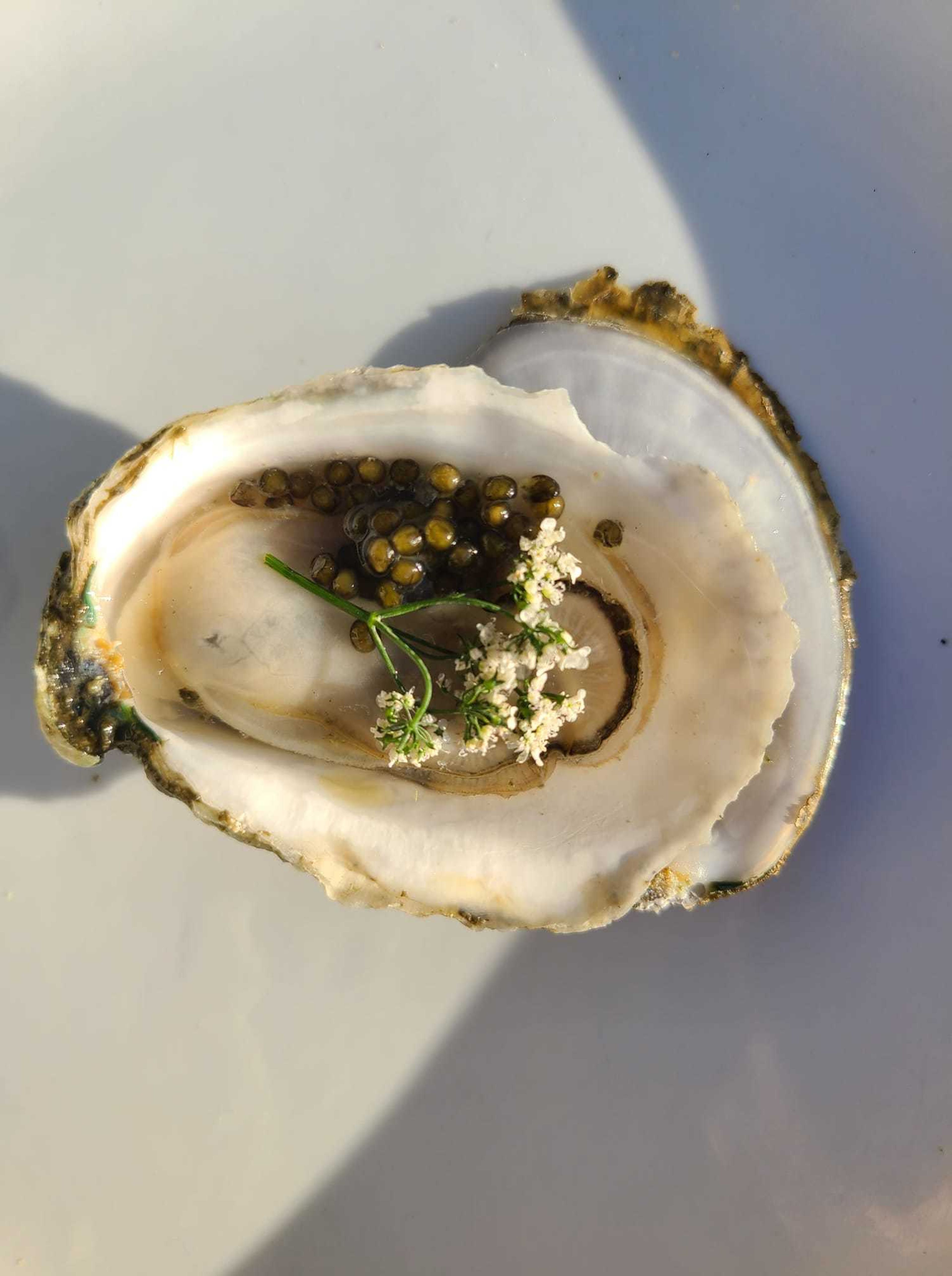 Cover photo of Bonfire Oyster Co.
