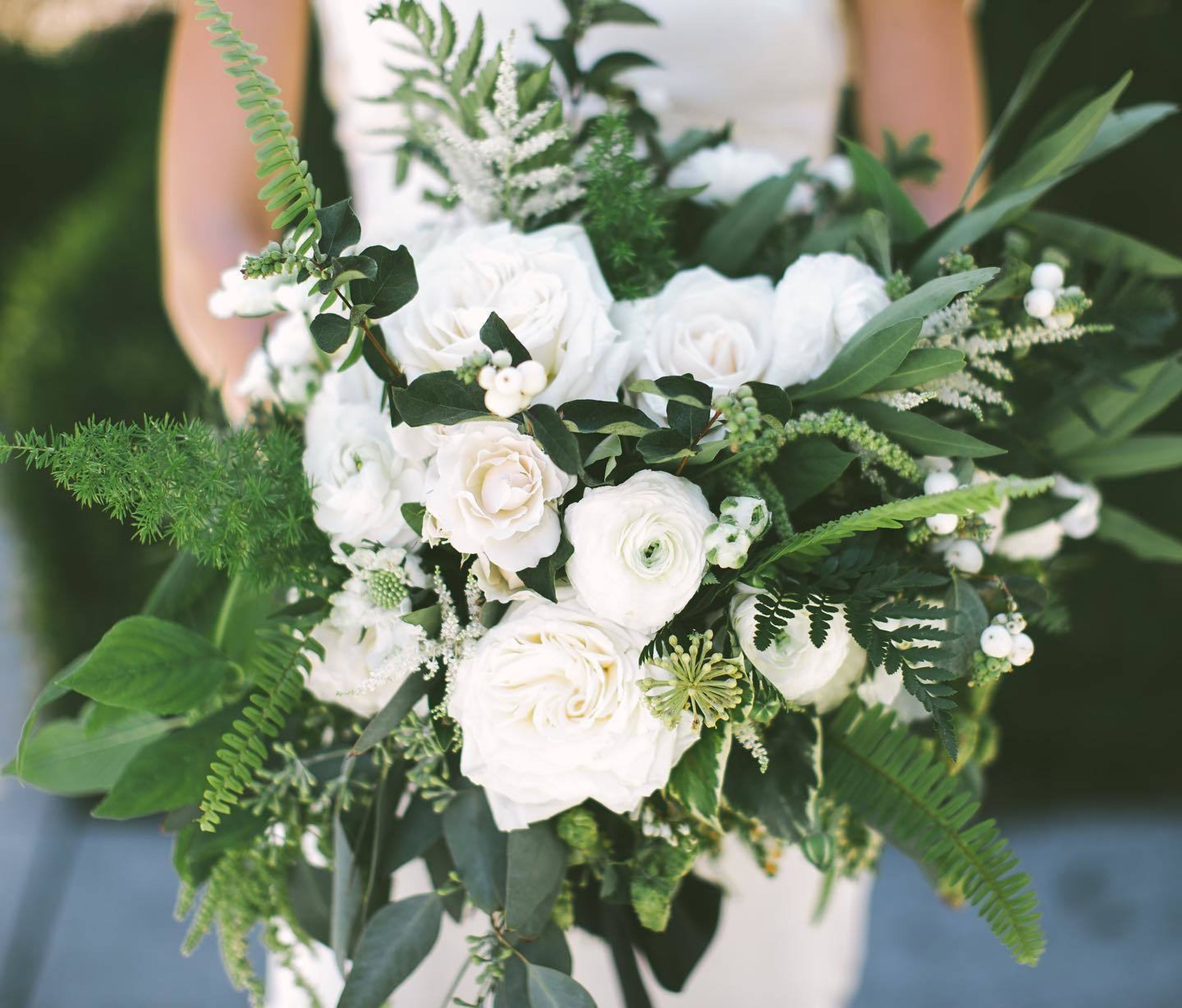 Cover photo of Lani Elizabeth