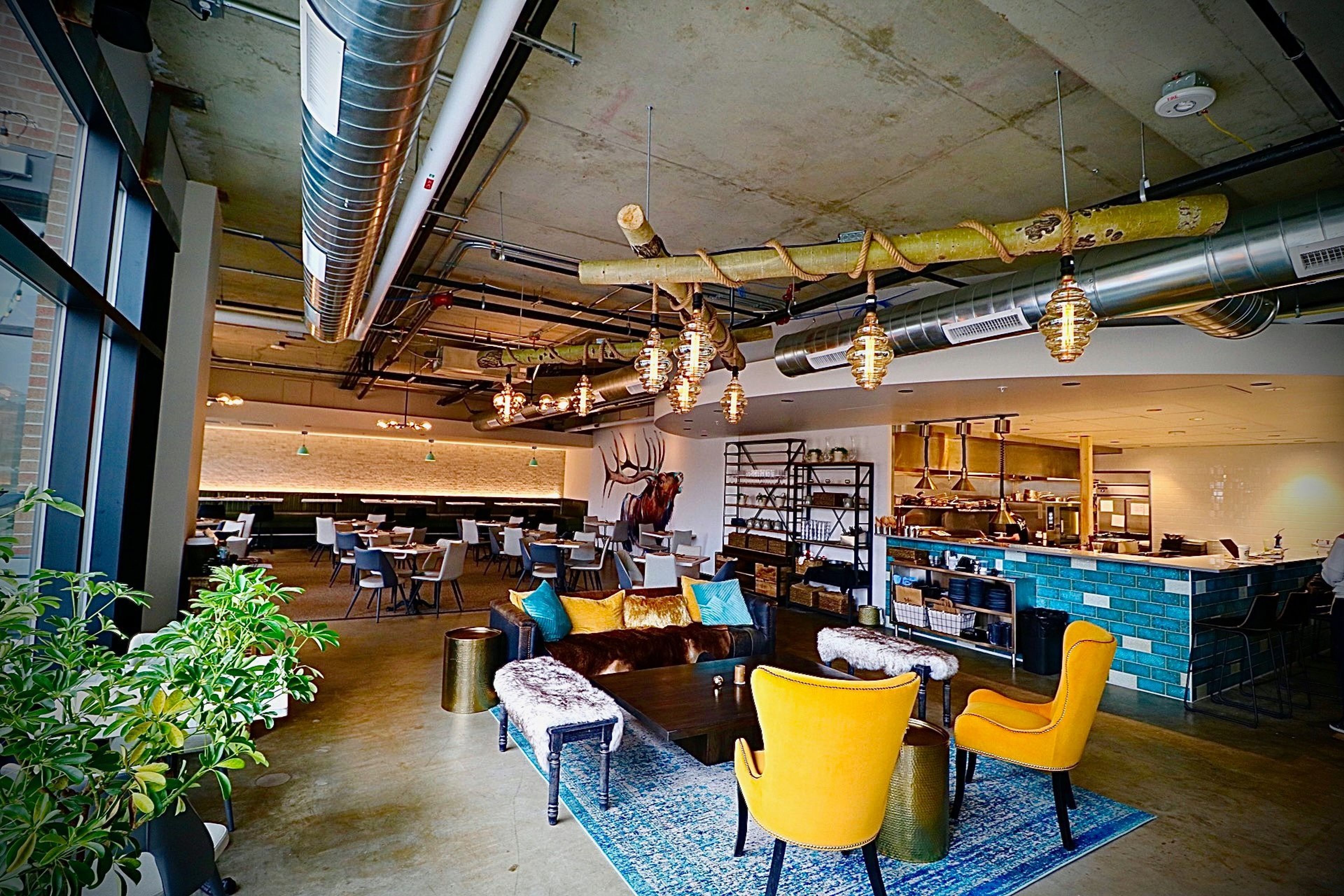 Cover photo of Tribe Hospitality