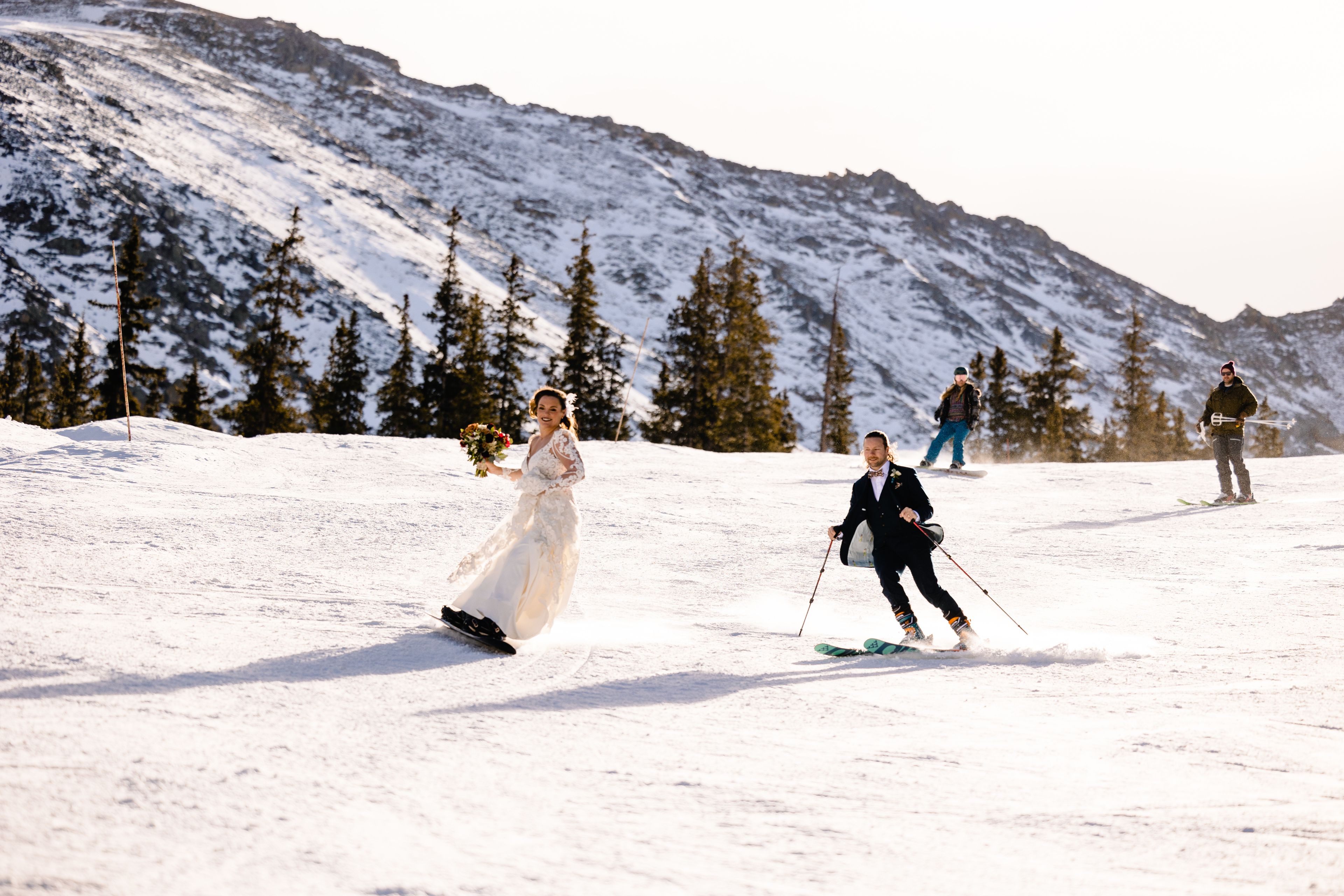 Cover photo of Sarah Roshan Collective