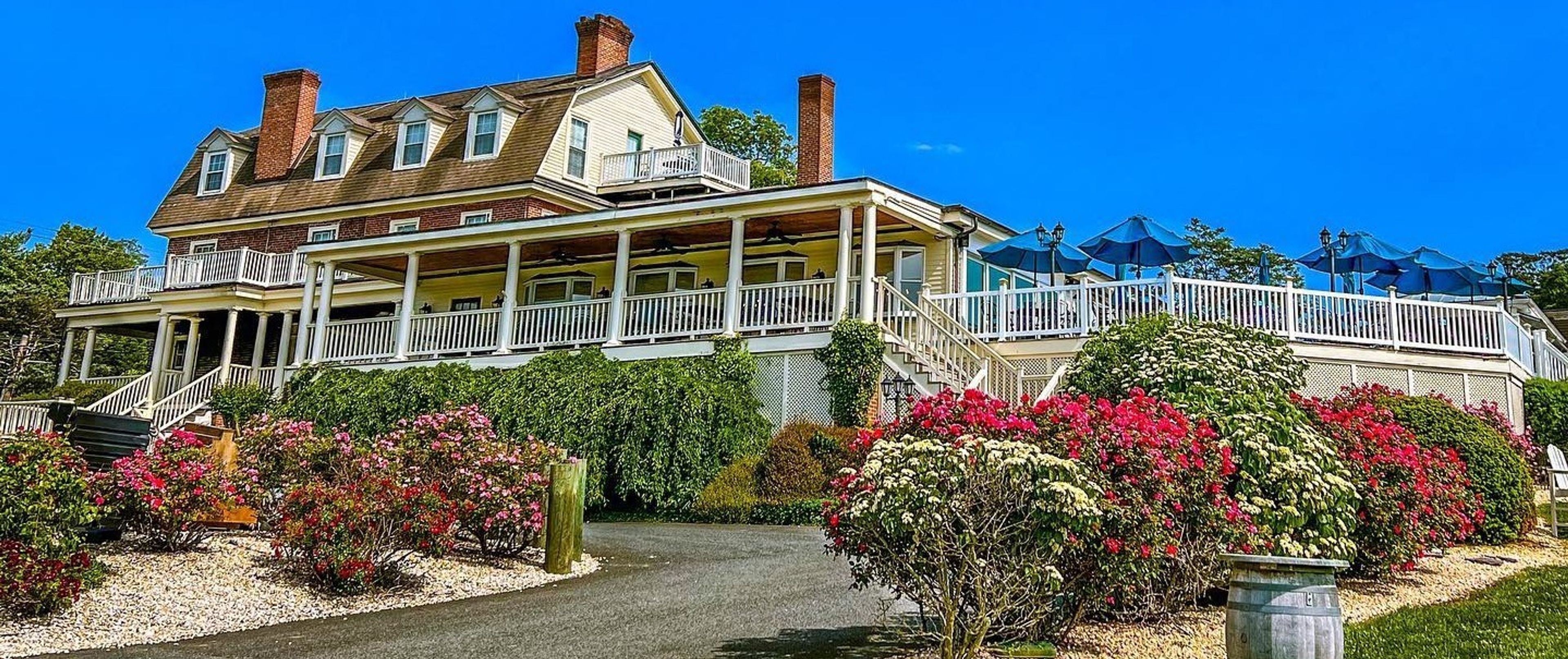 Cover photo of Deep Blue at Kitty Knight