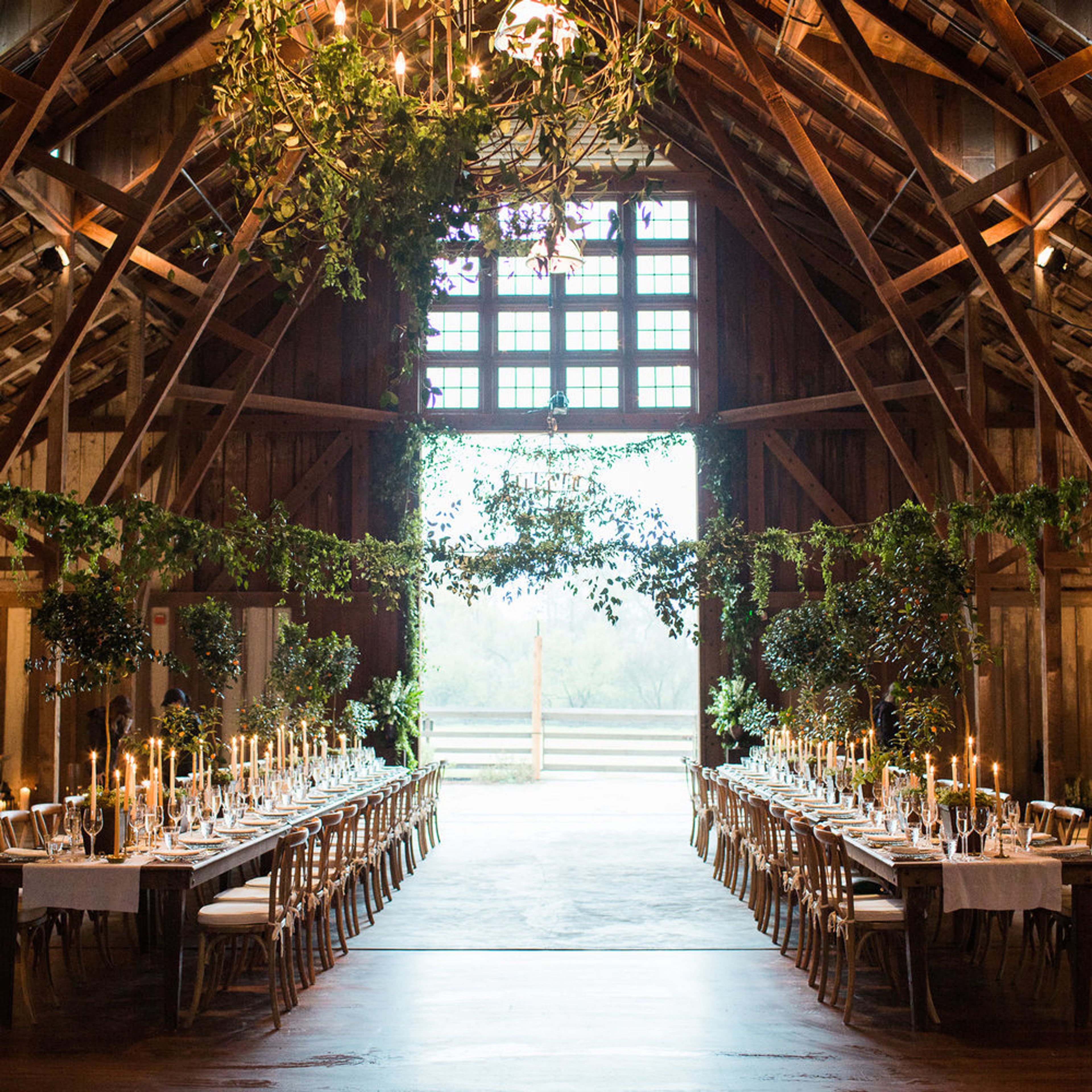 Cover photo of Fionna Floral