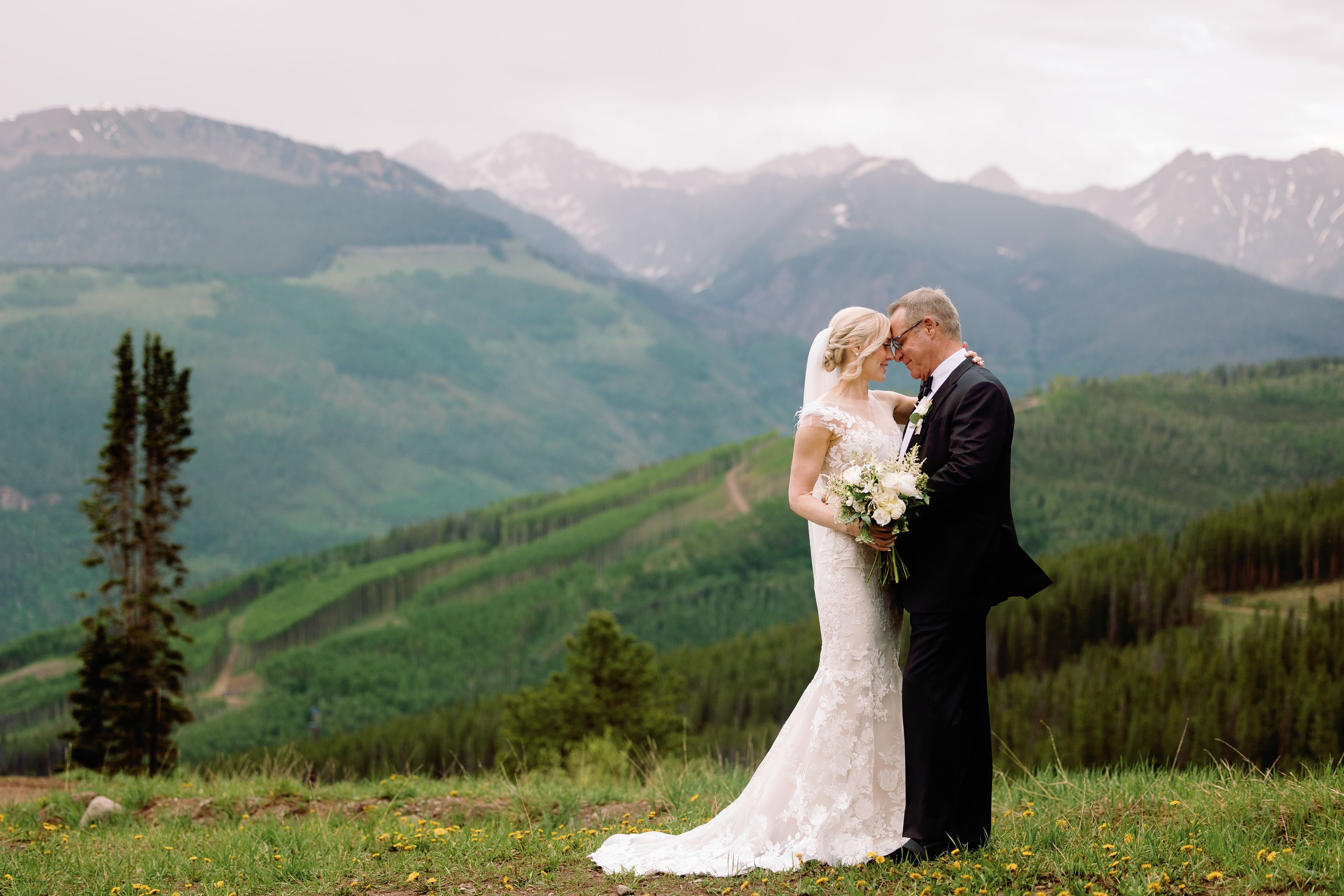 Cover photo of Sarah Roshan Collective