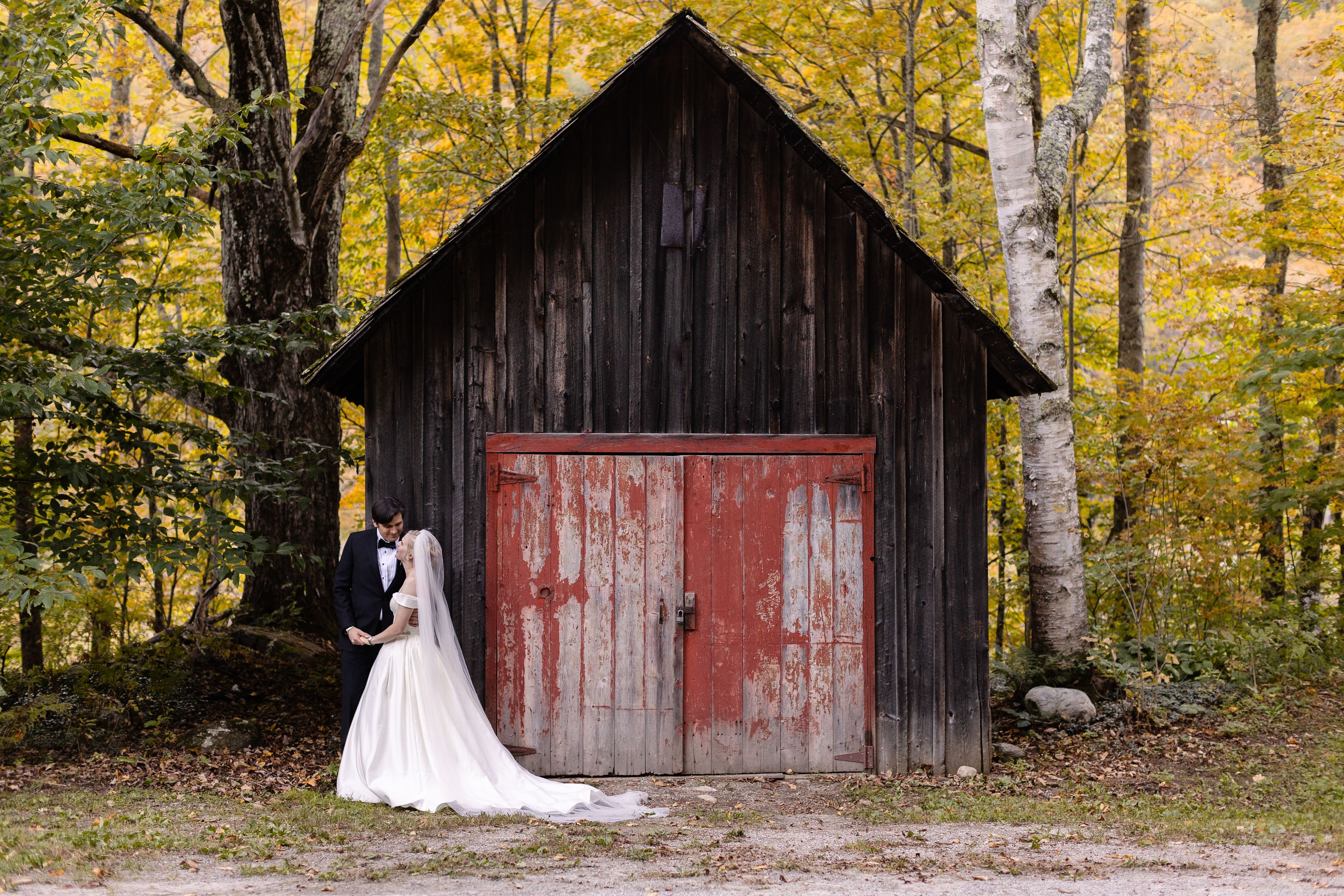 Cover photo of Sarah Roshan Collective