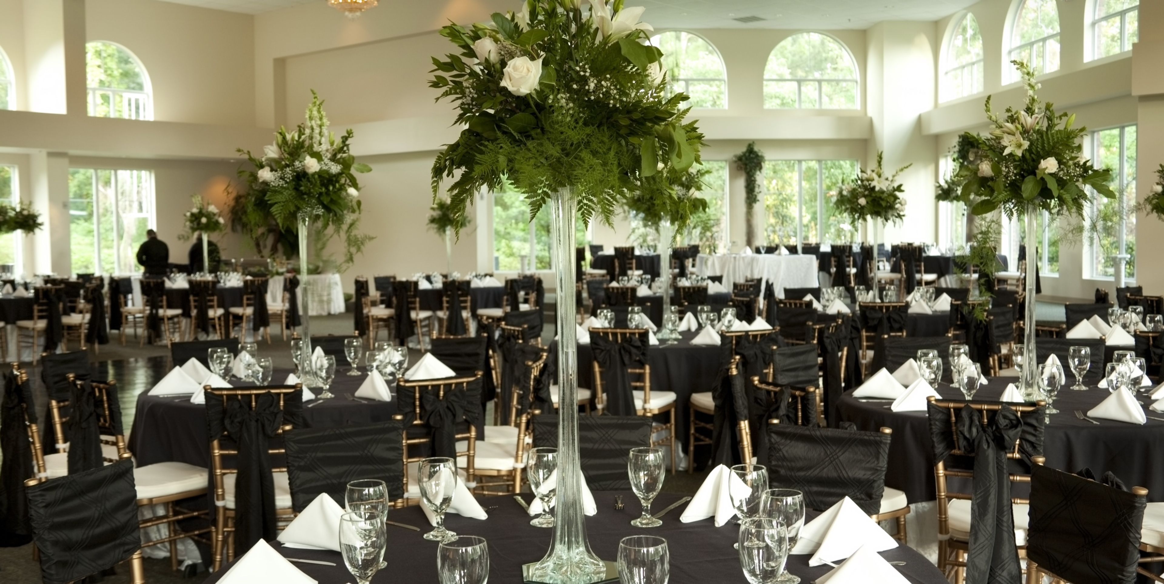 Cover photo of Robin Event Rental