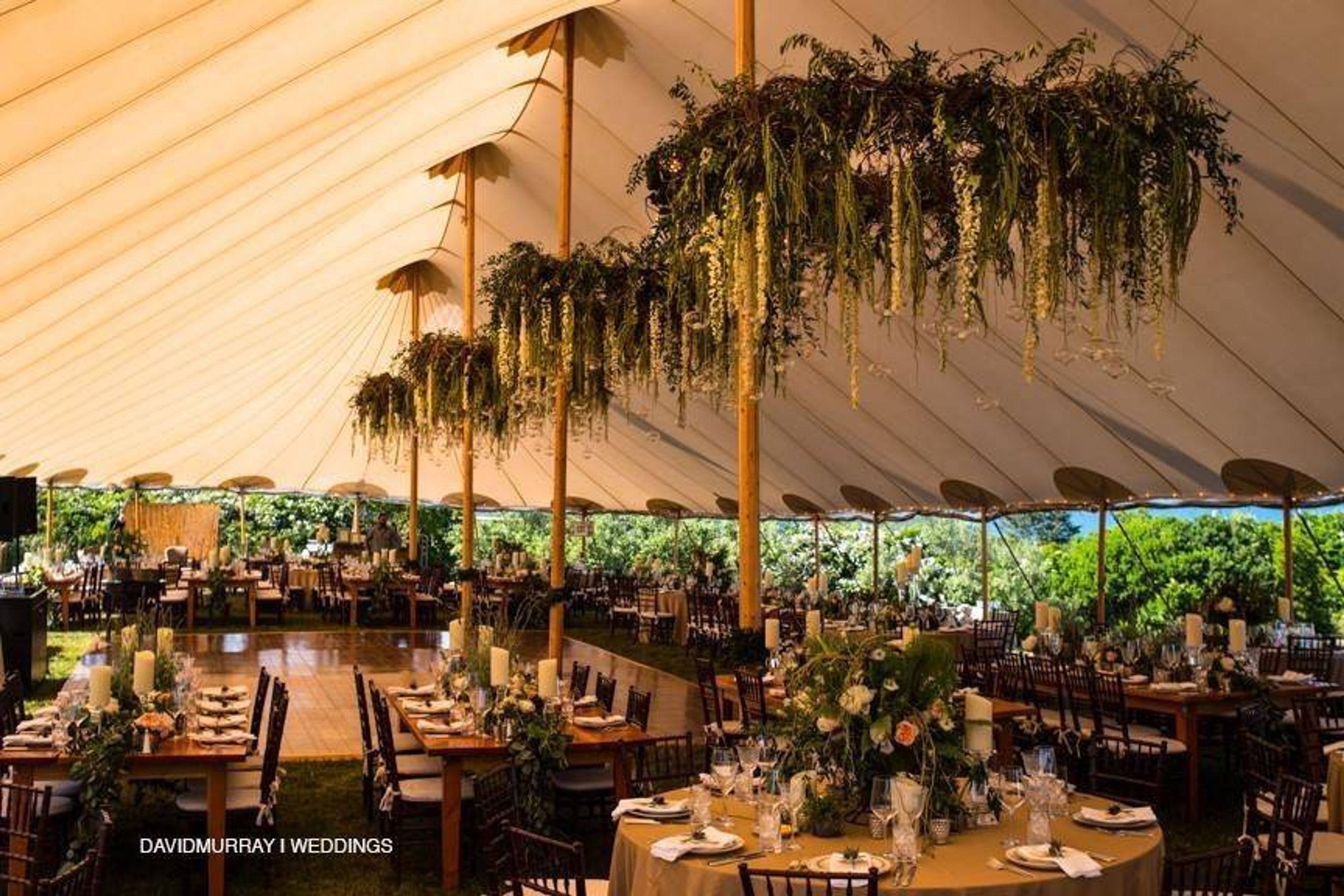 Cover photo of Sperry Tents Colorado