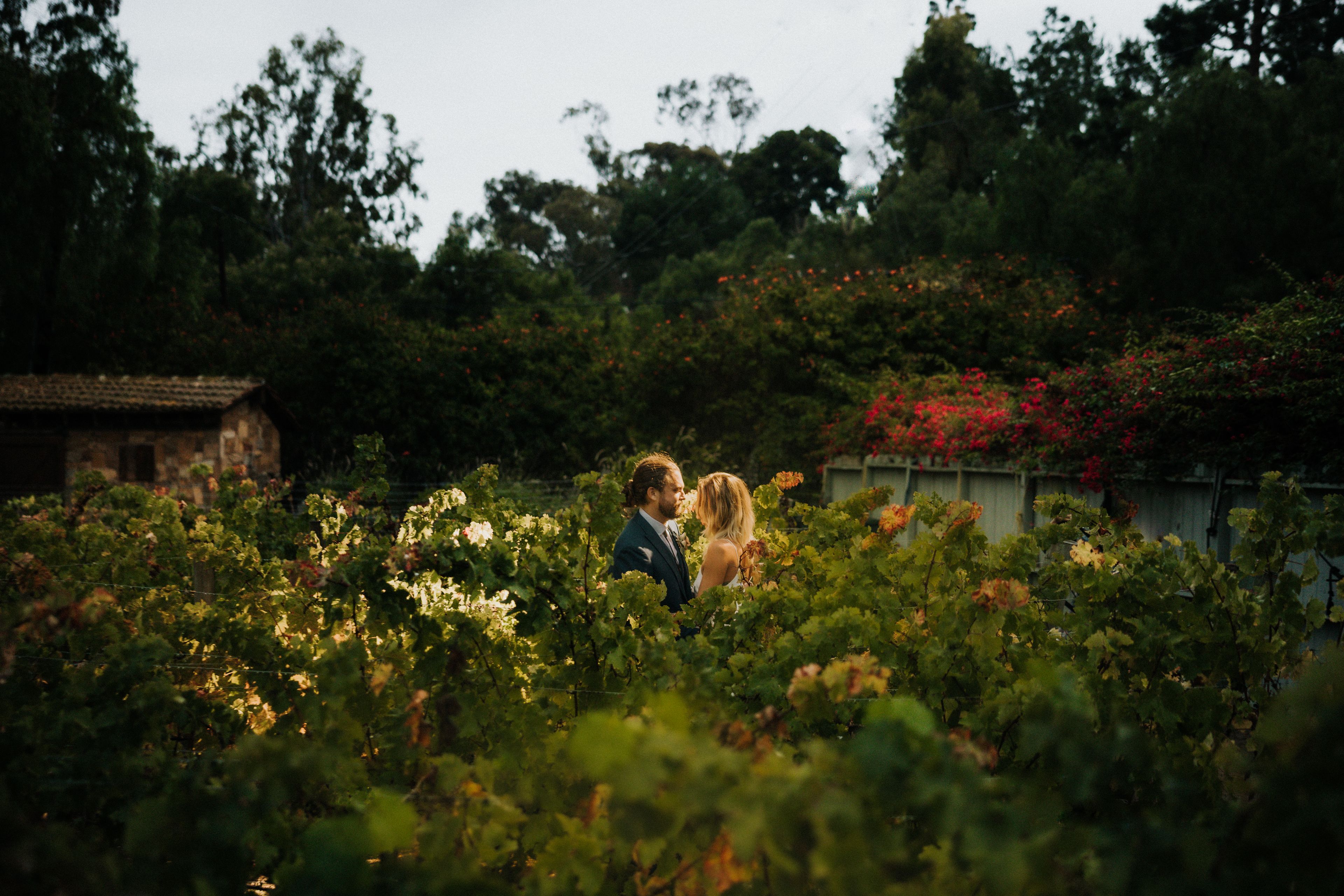 Cover photo of Cruzio