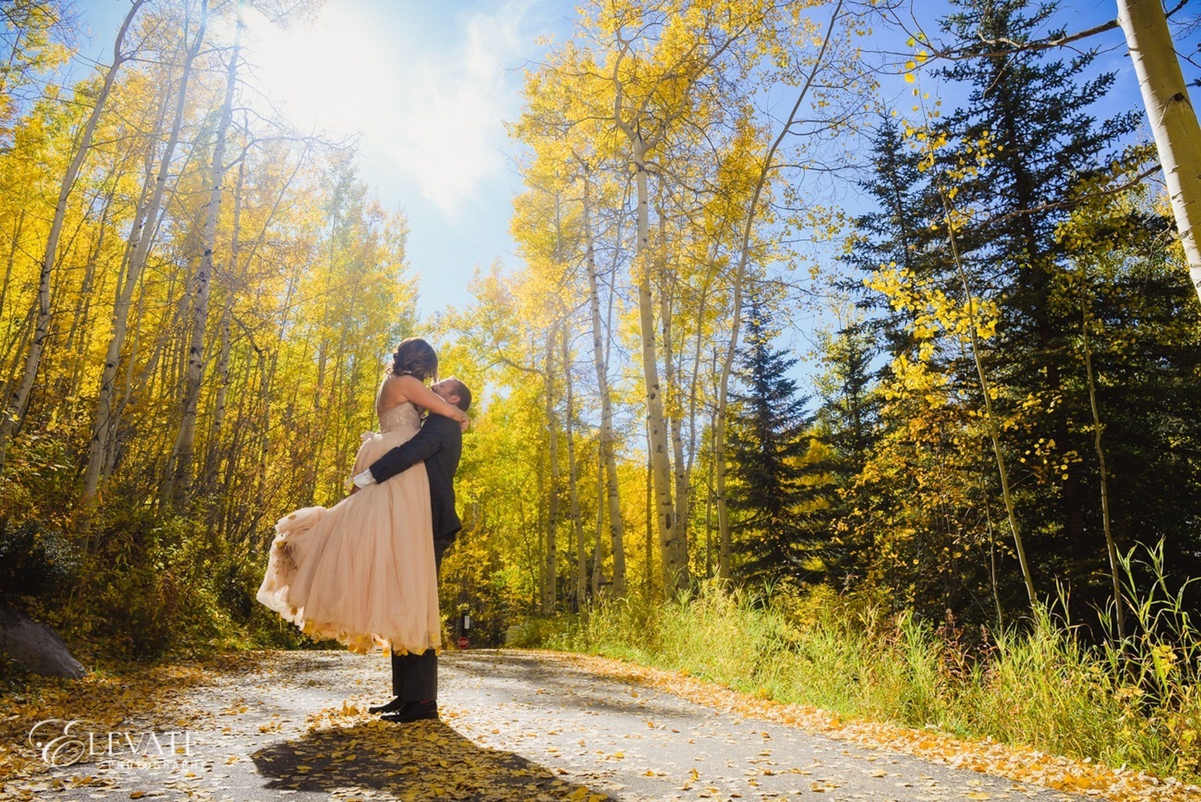 Cover photo of JoAnn Moore Weddings