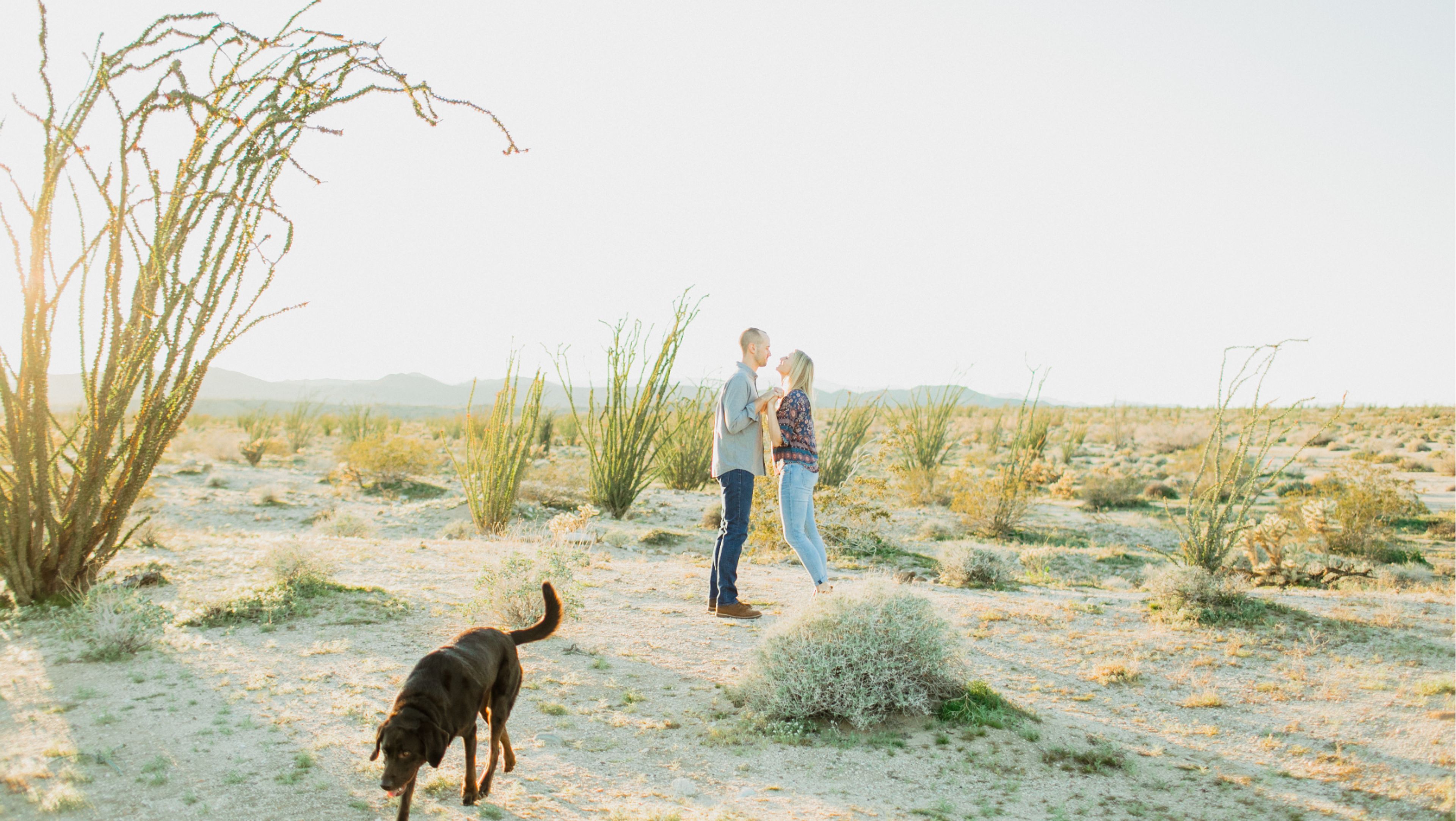 Cover photo of Demi Sue Photography