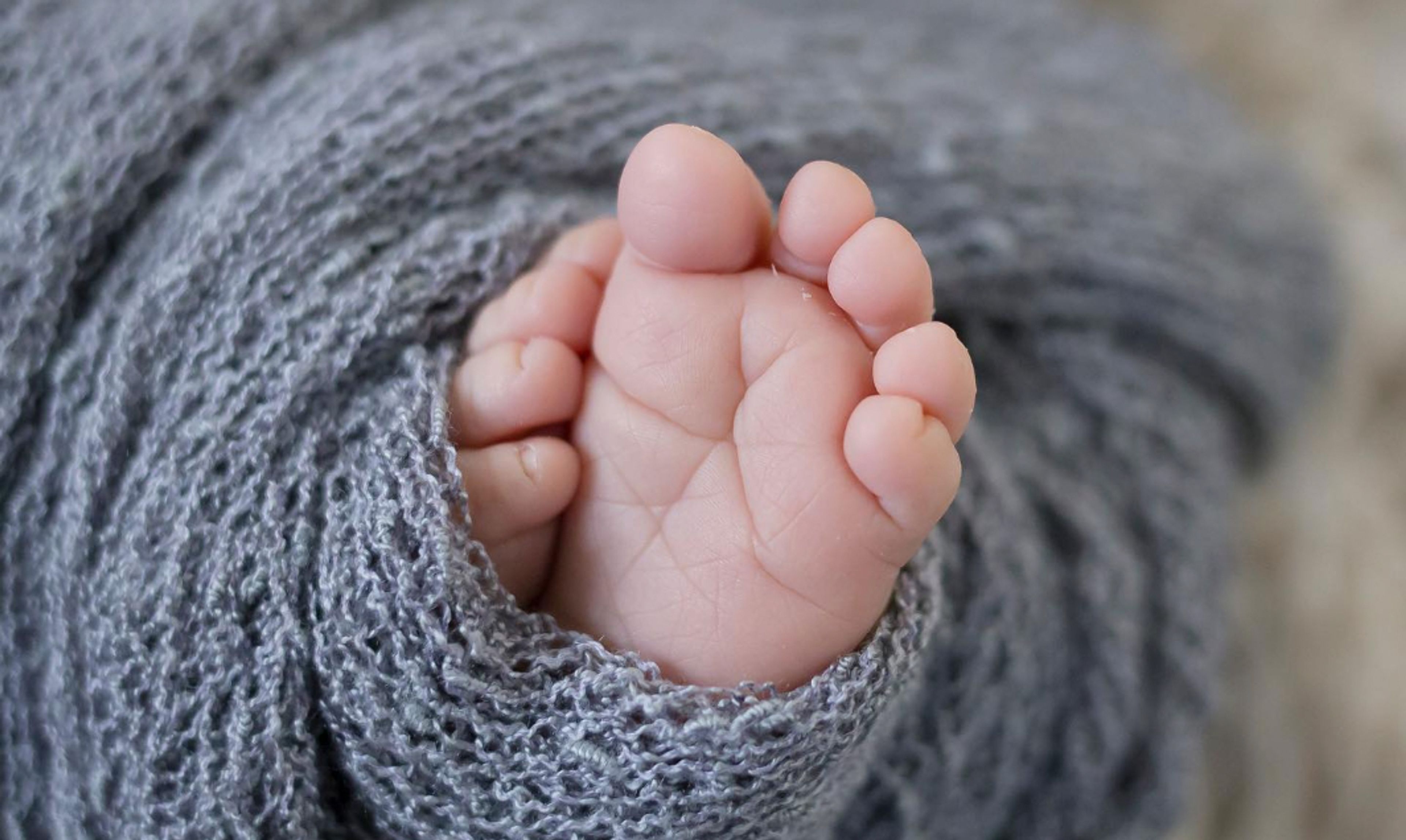 Cover photo of Digital Darling