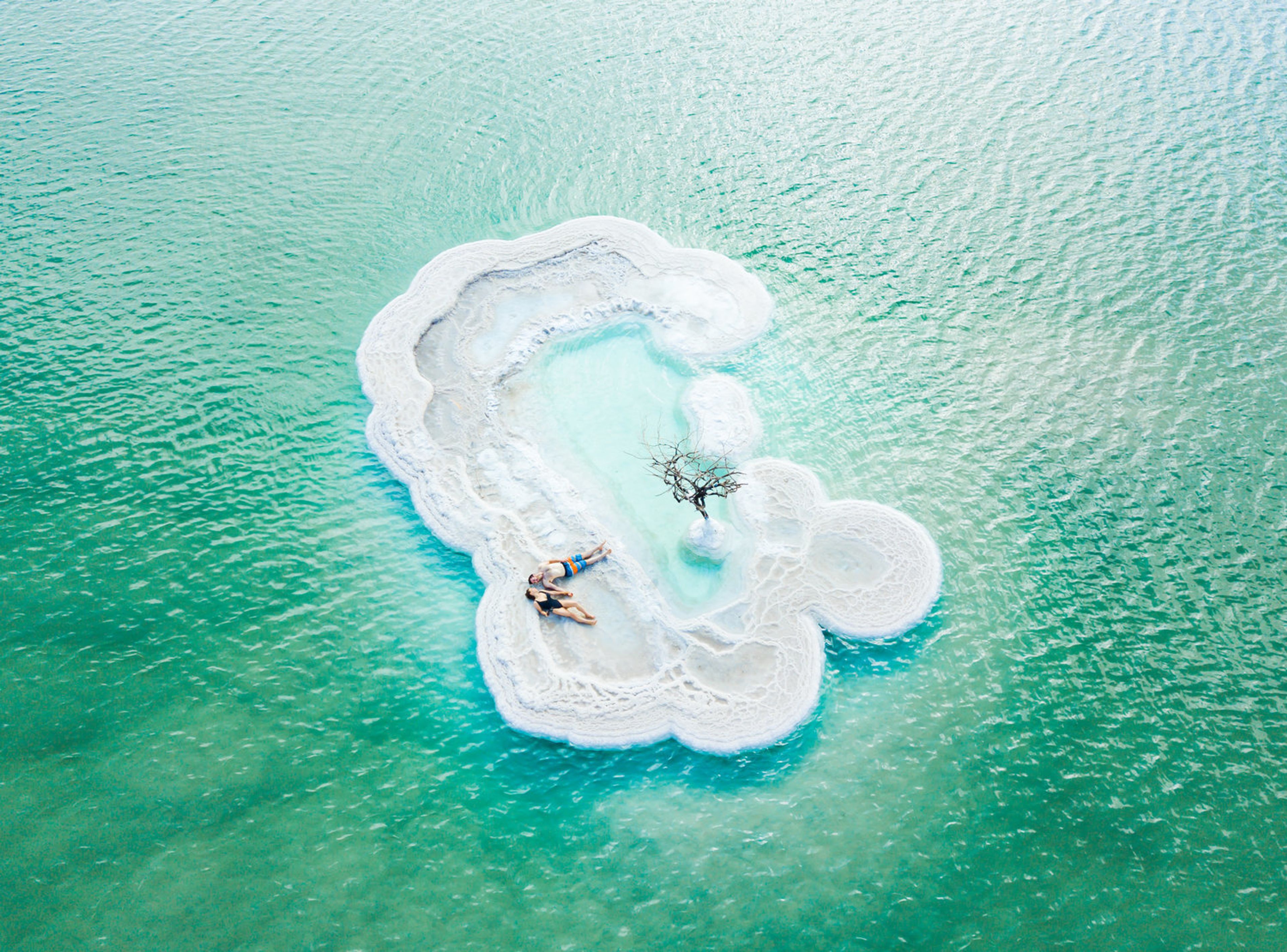 Cover photo of Leetal Photo