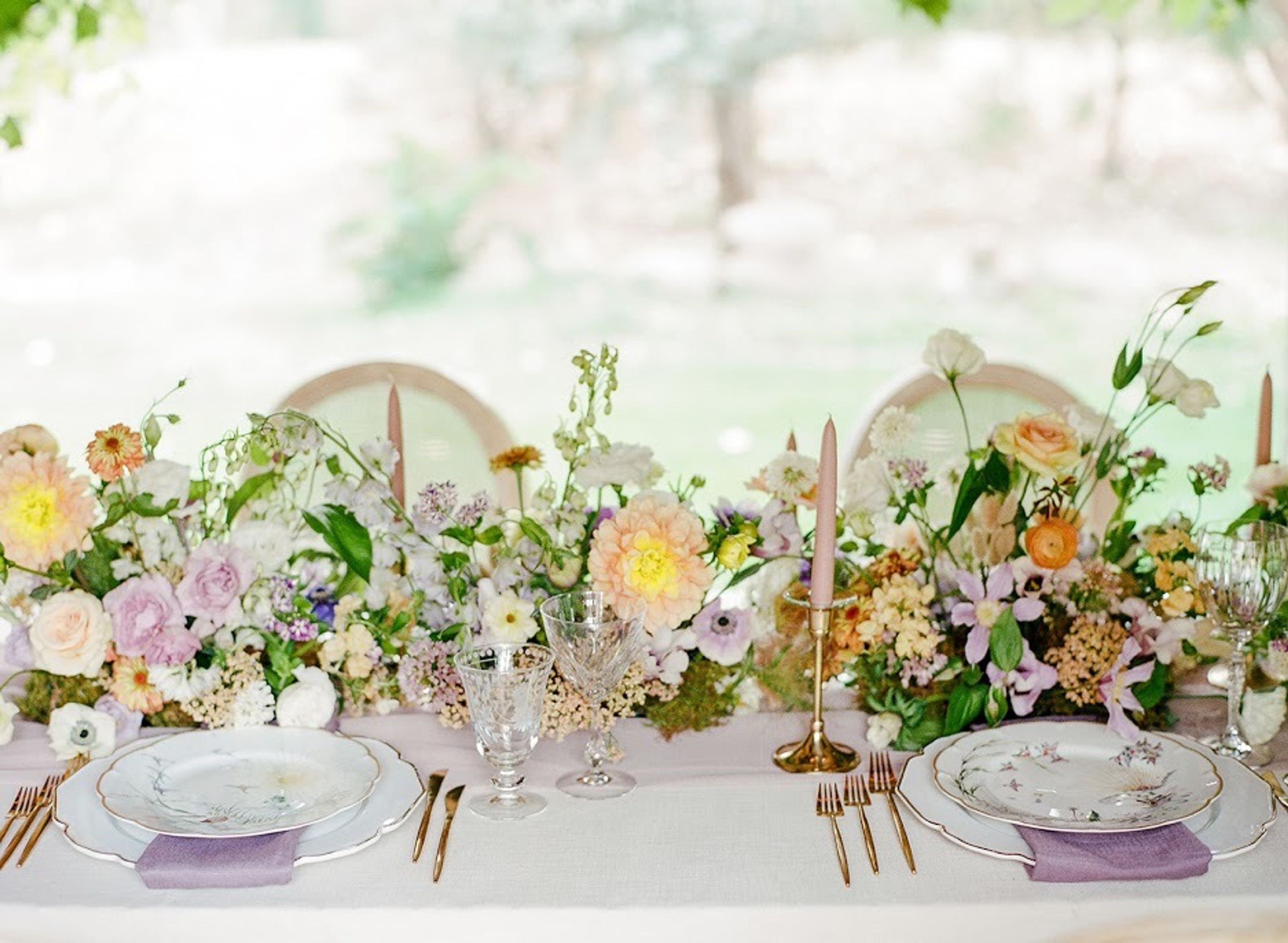 Cover photo of the perfect petal