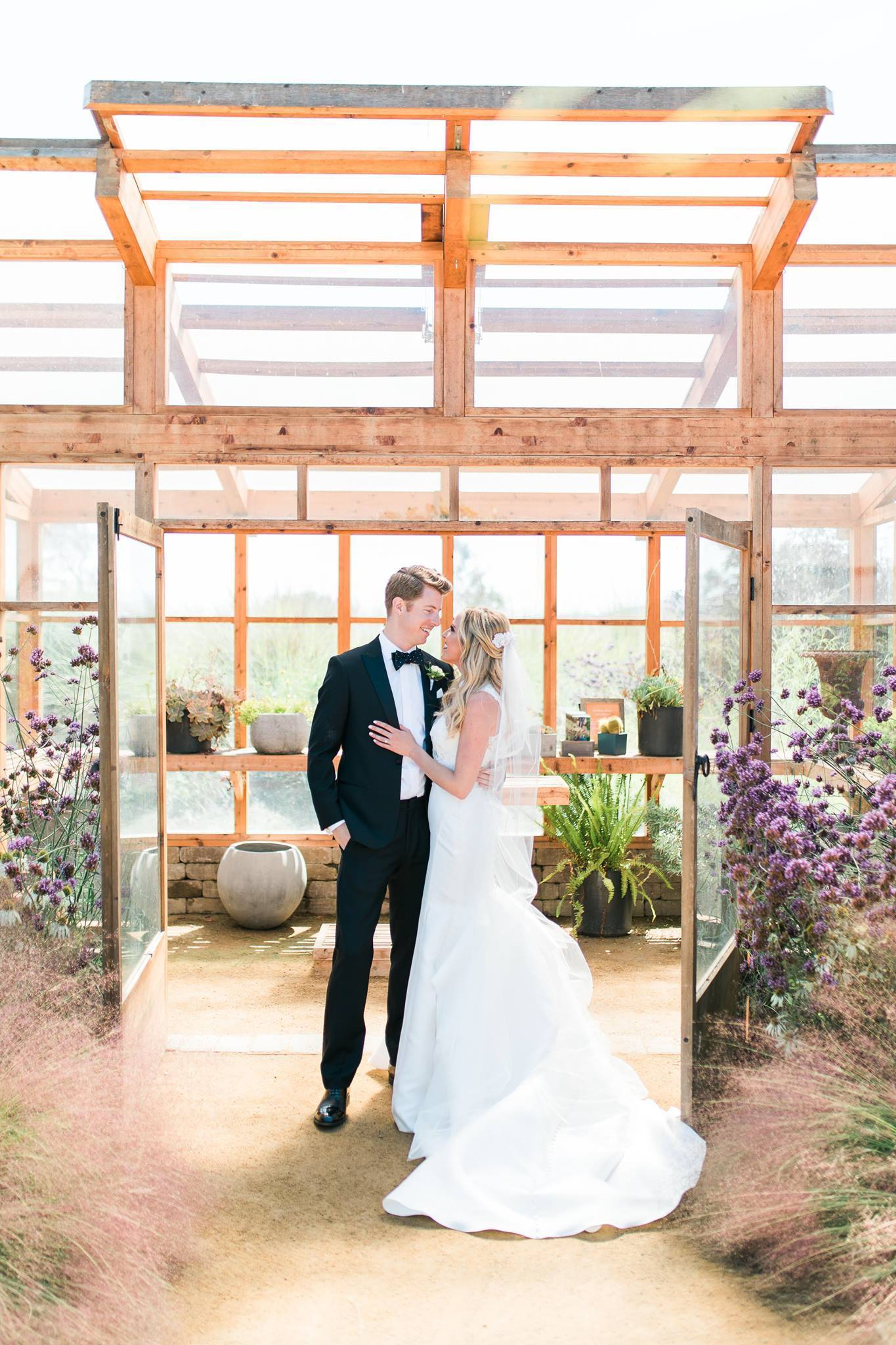 Cover photo of Ali Diluvio Events