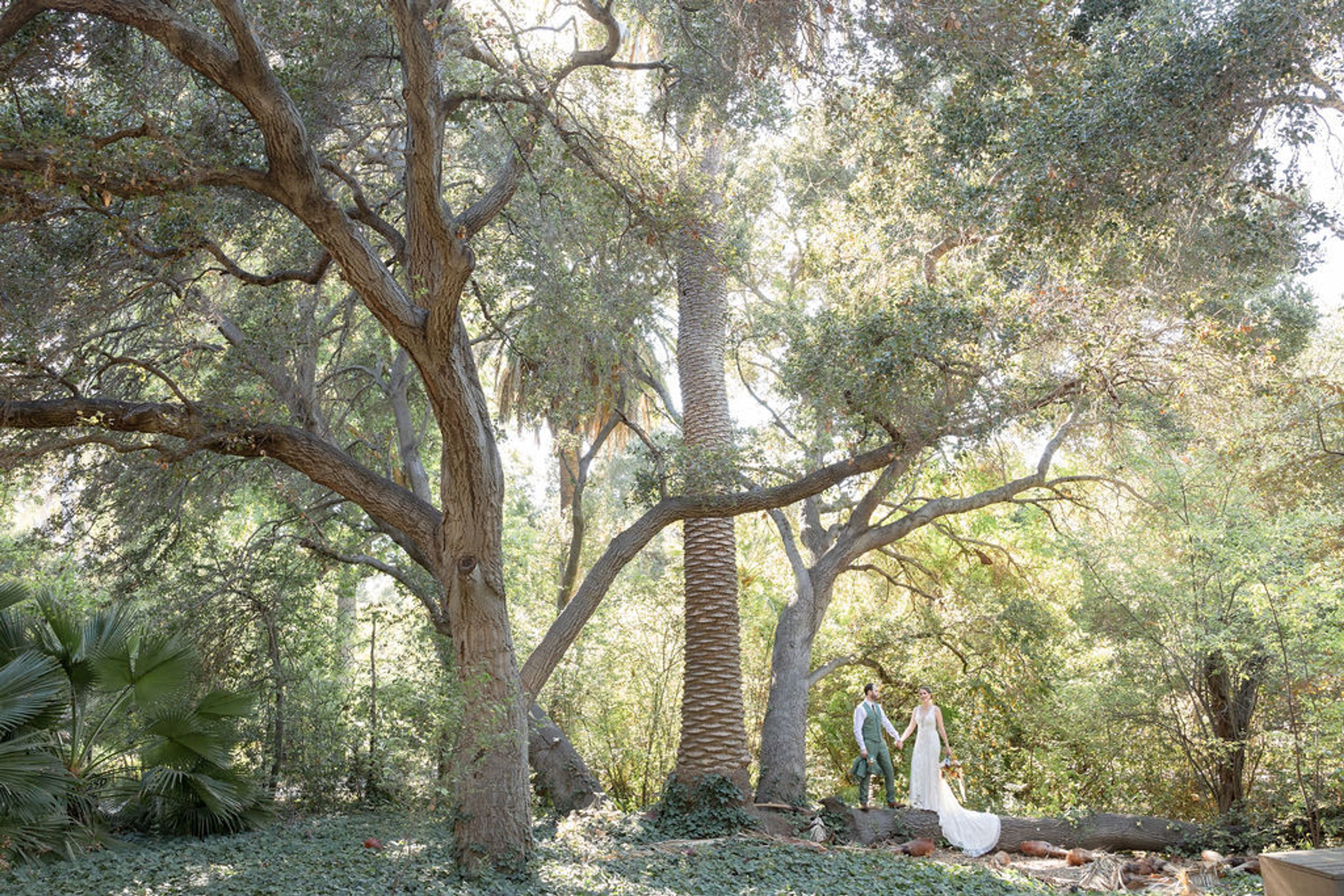 Cover photo of Ardenwood Historic Farm