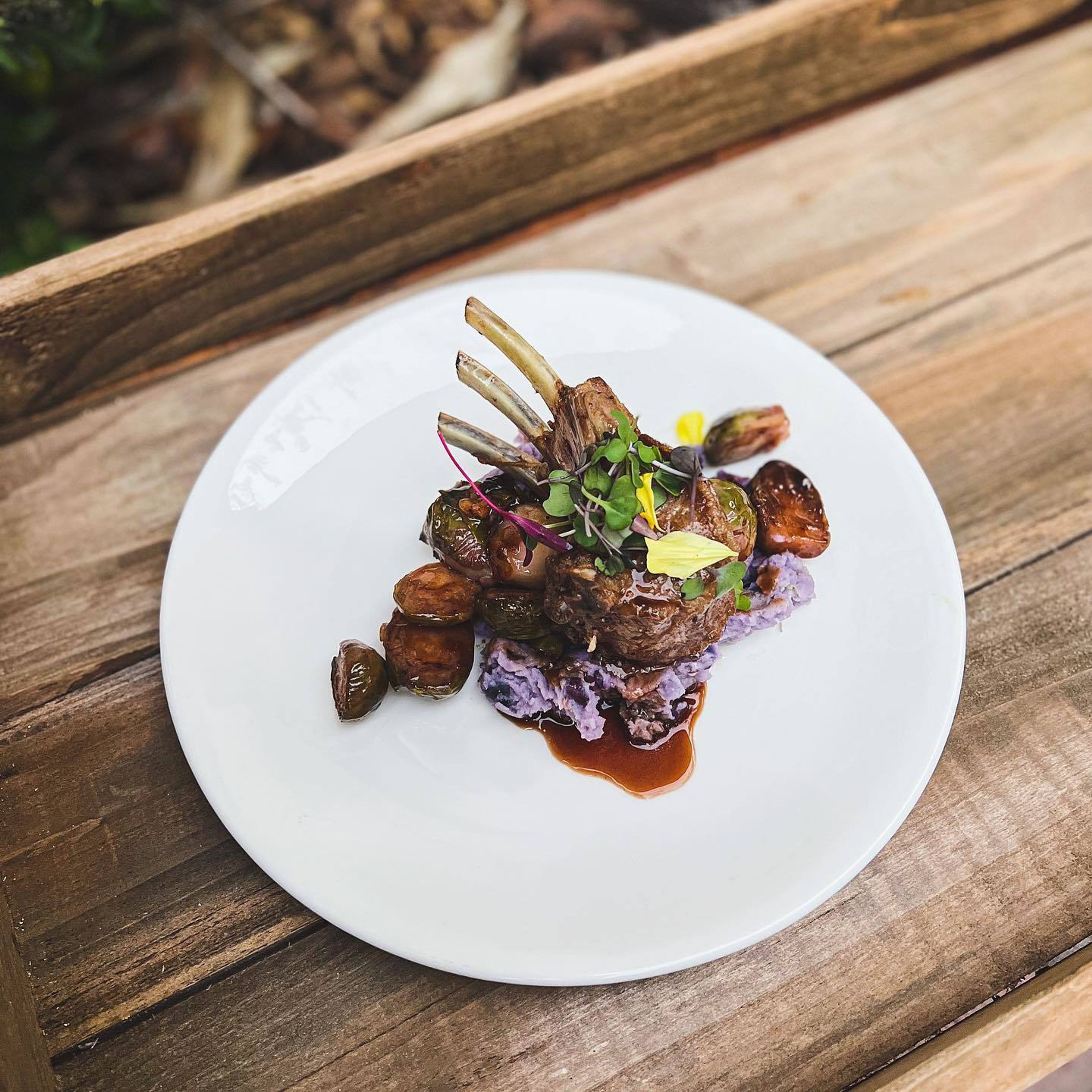 Cover photo of Pisces Rising