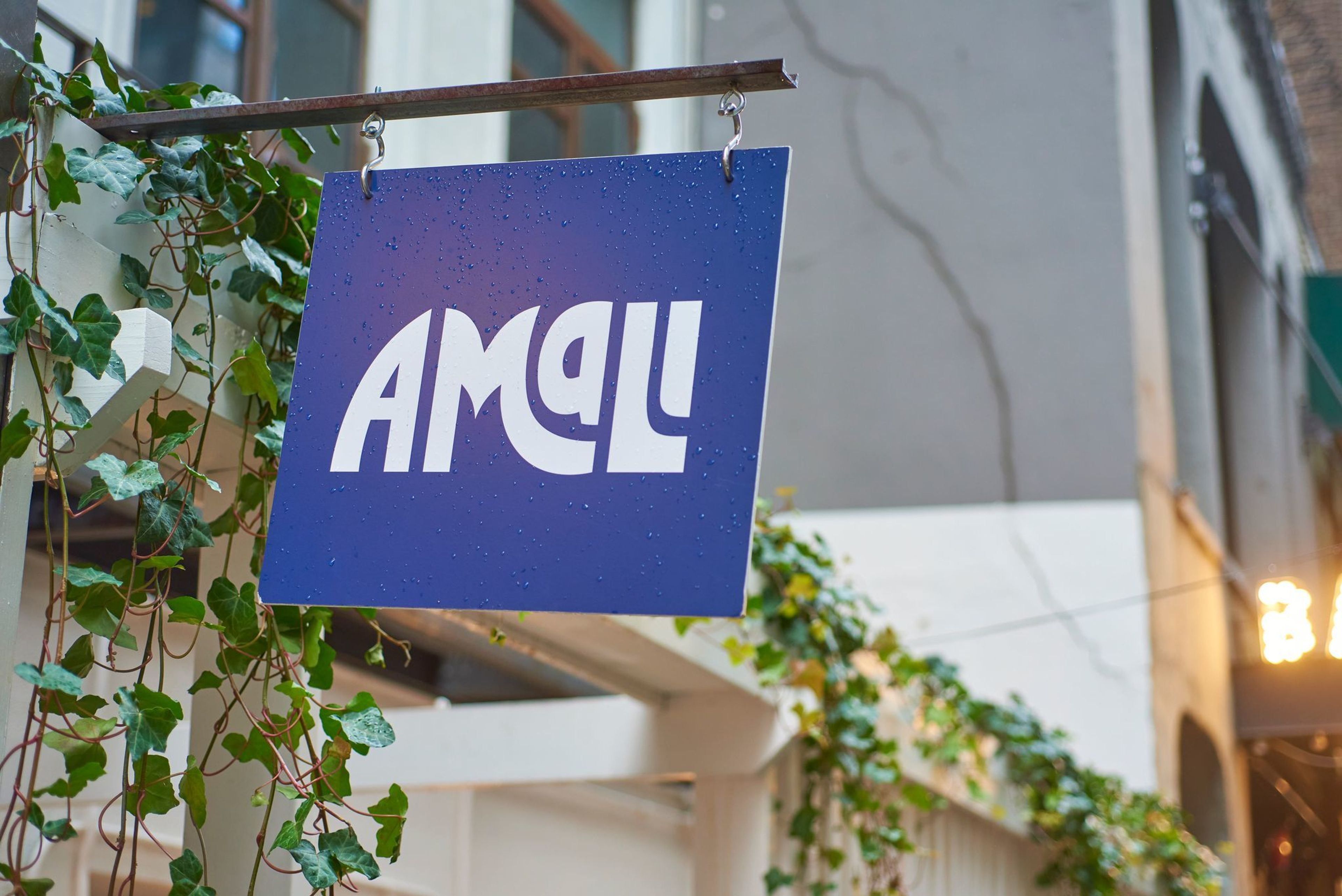 Cover photo of Amali