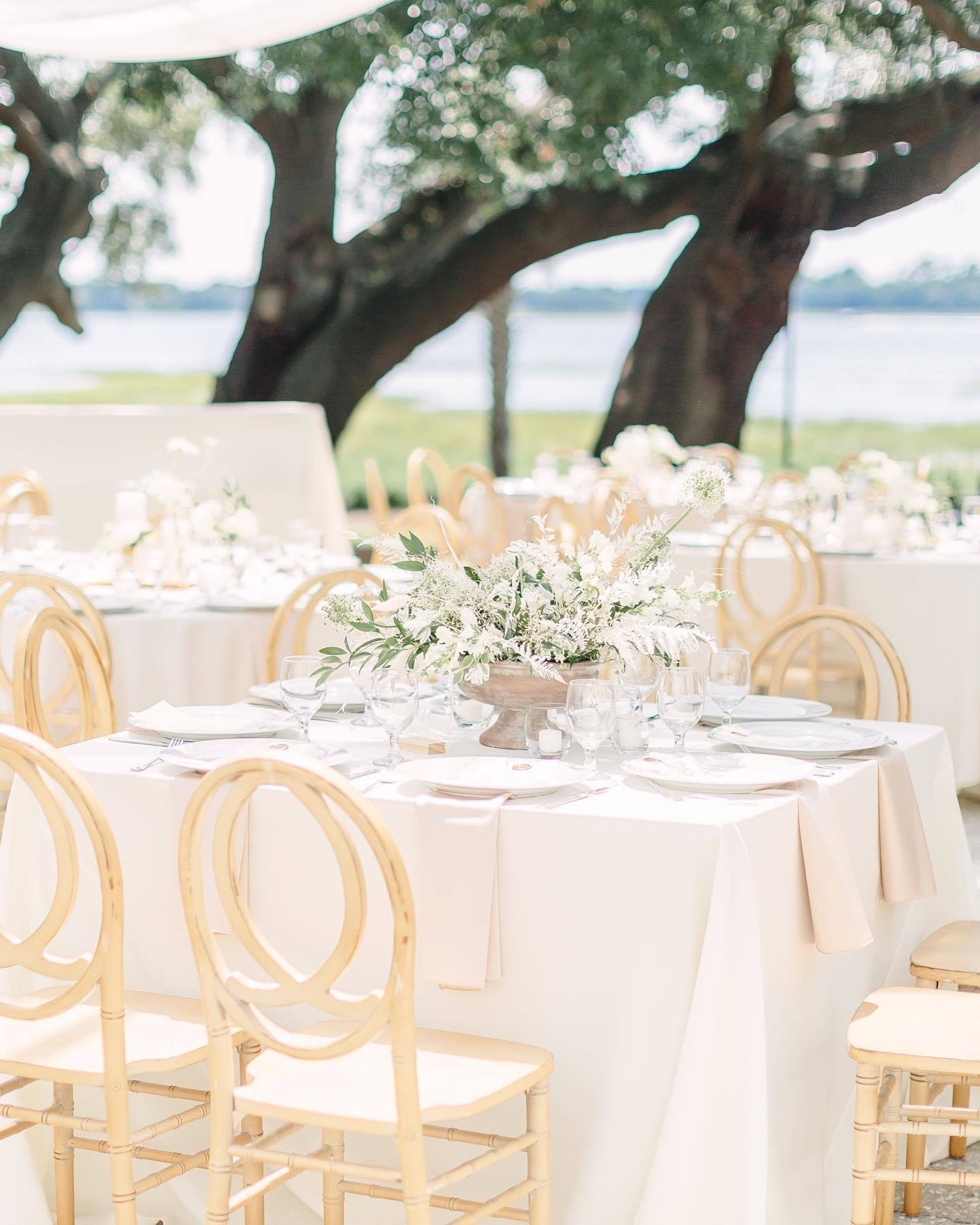 Cover photo of Social Graces Events