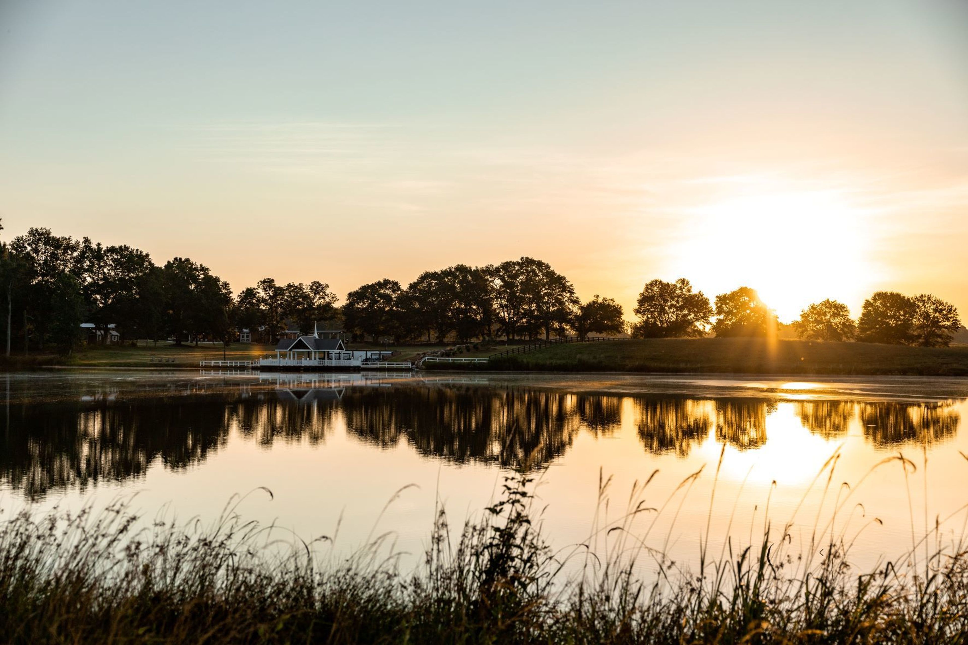 Cover photo of The Farm At Wolf Creek