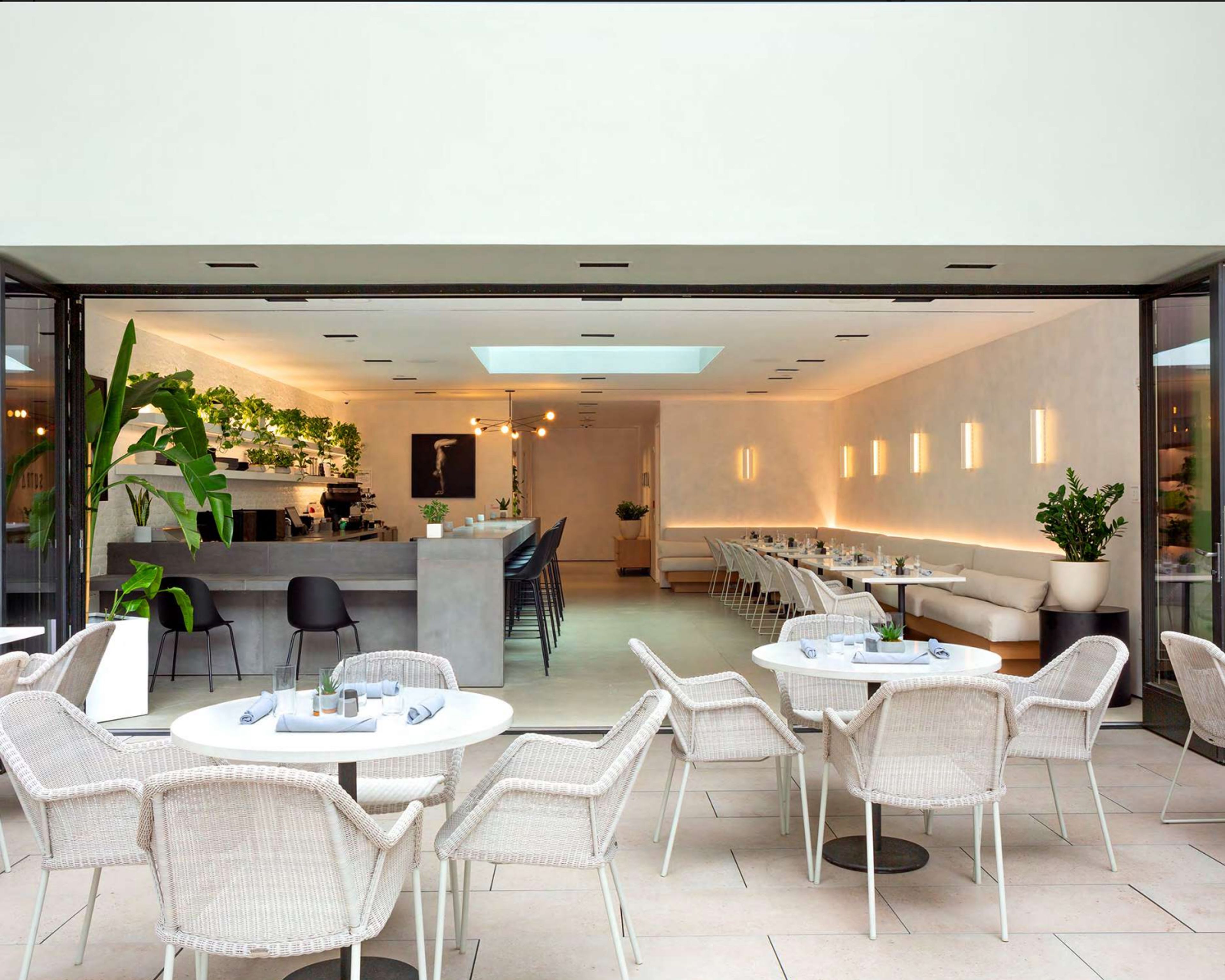 Cover photo of Sutra