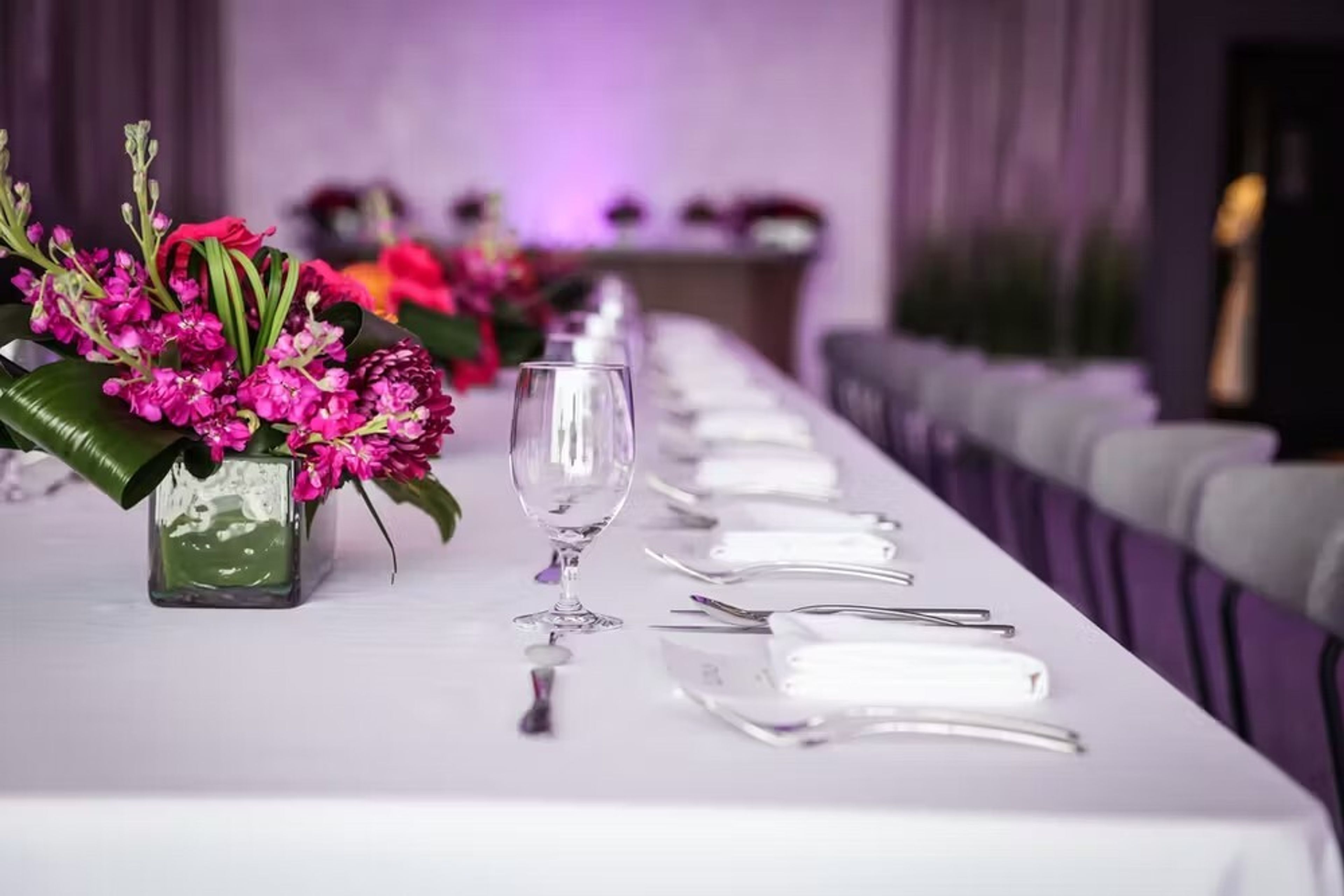 Cover photo of The Canvas by Ever