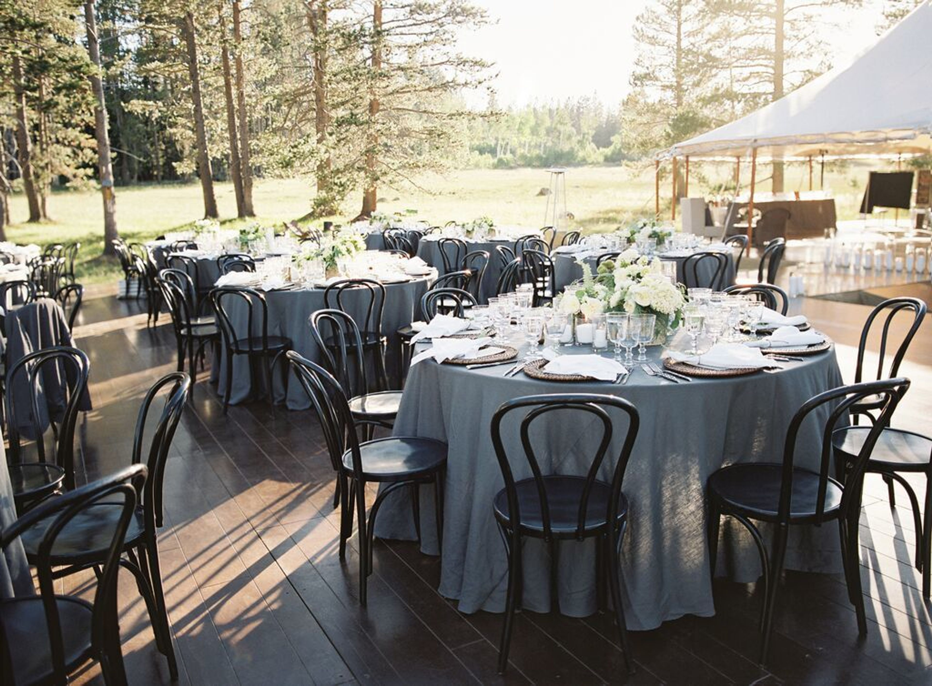 Cover photo of Mitchell's Mountain Meadow