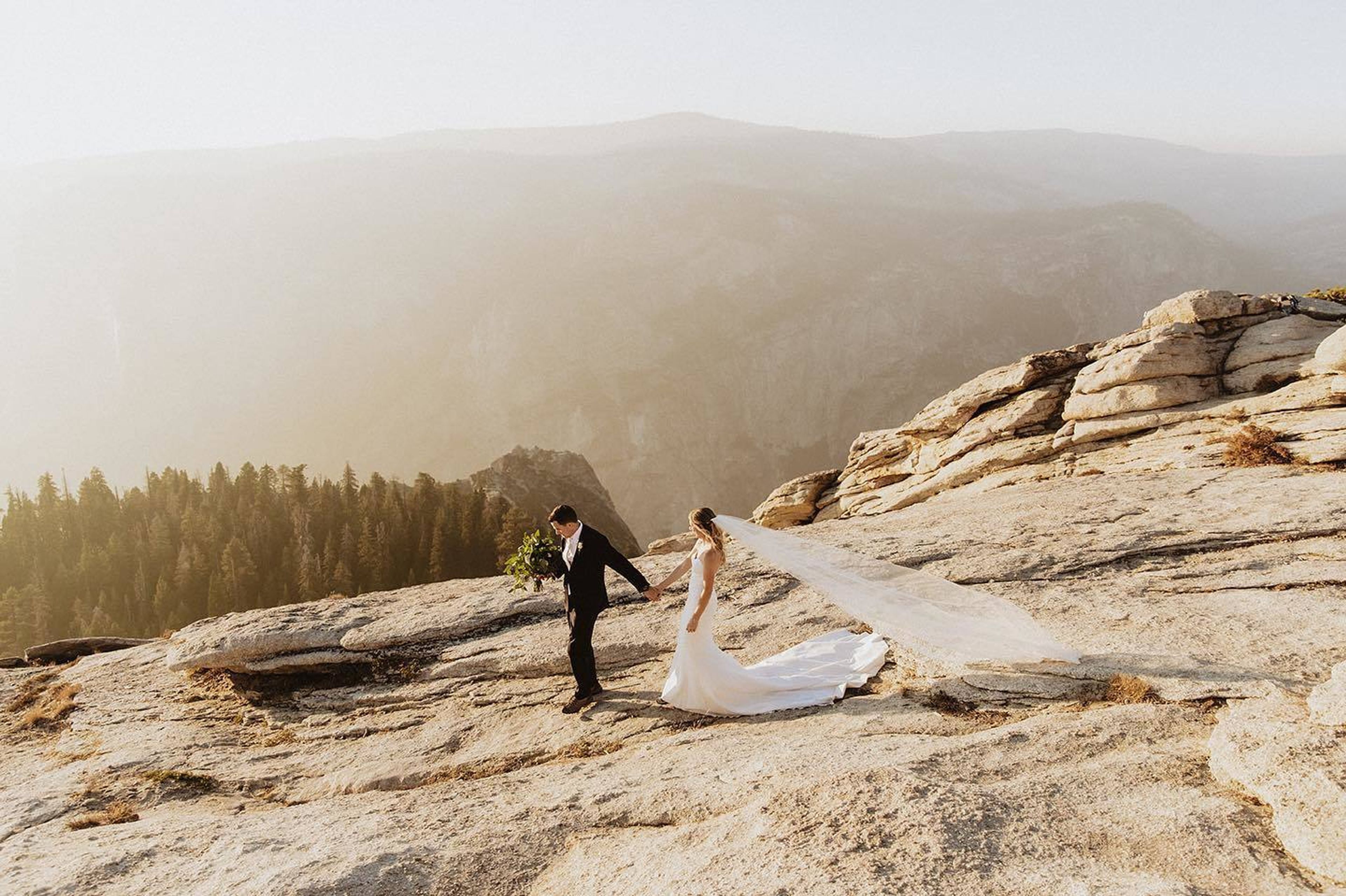 Cover photo of Addy Rose Weddings