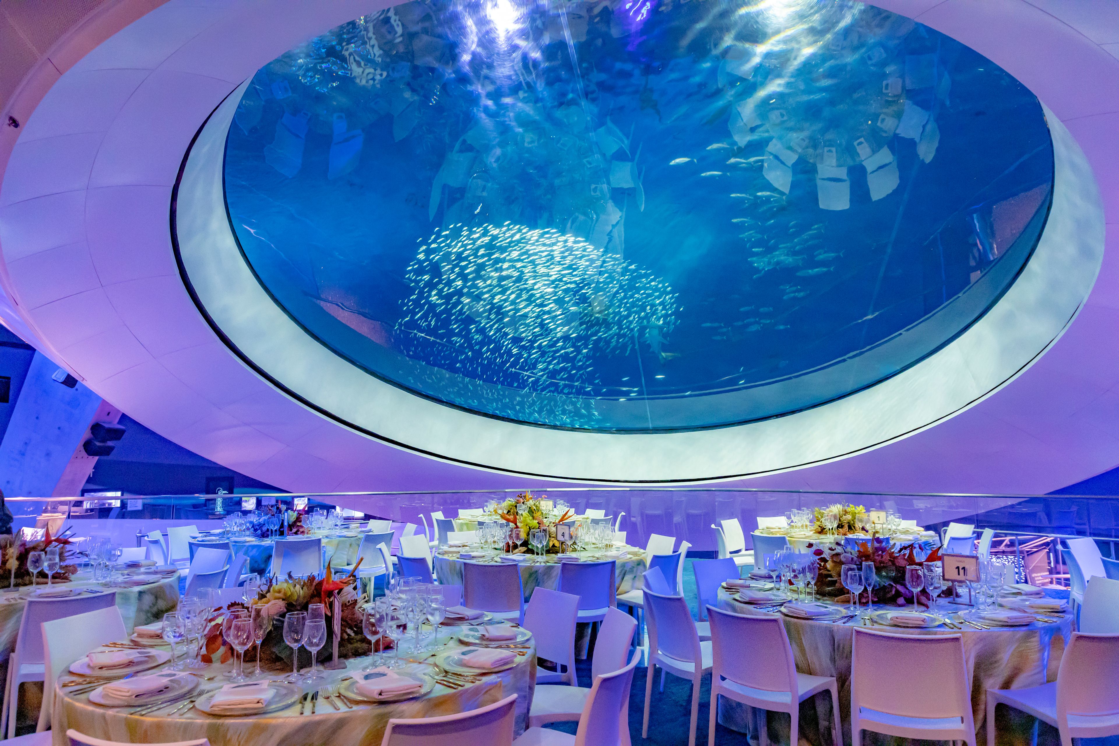 Cover photo of The Phillip and Patricia Frost Museum of Science