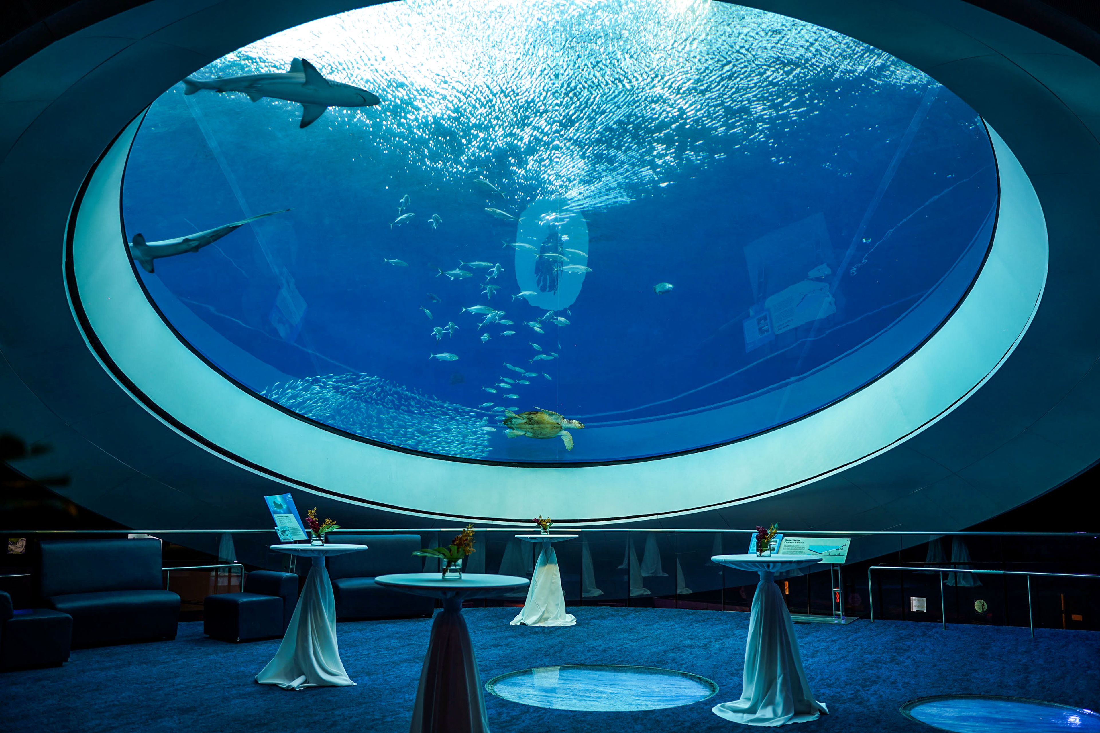 Cover photo of The Phillip and Patricia Frost Museum of Science