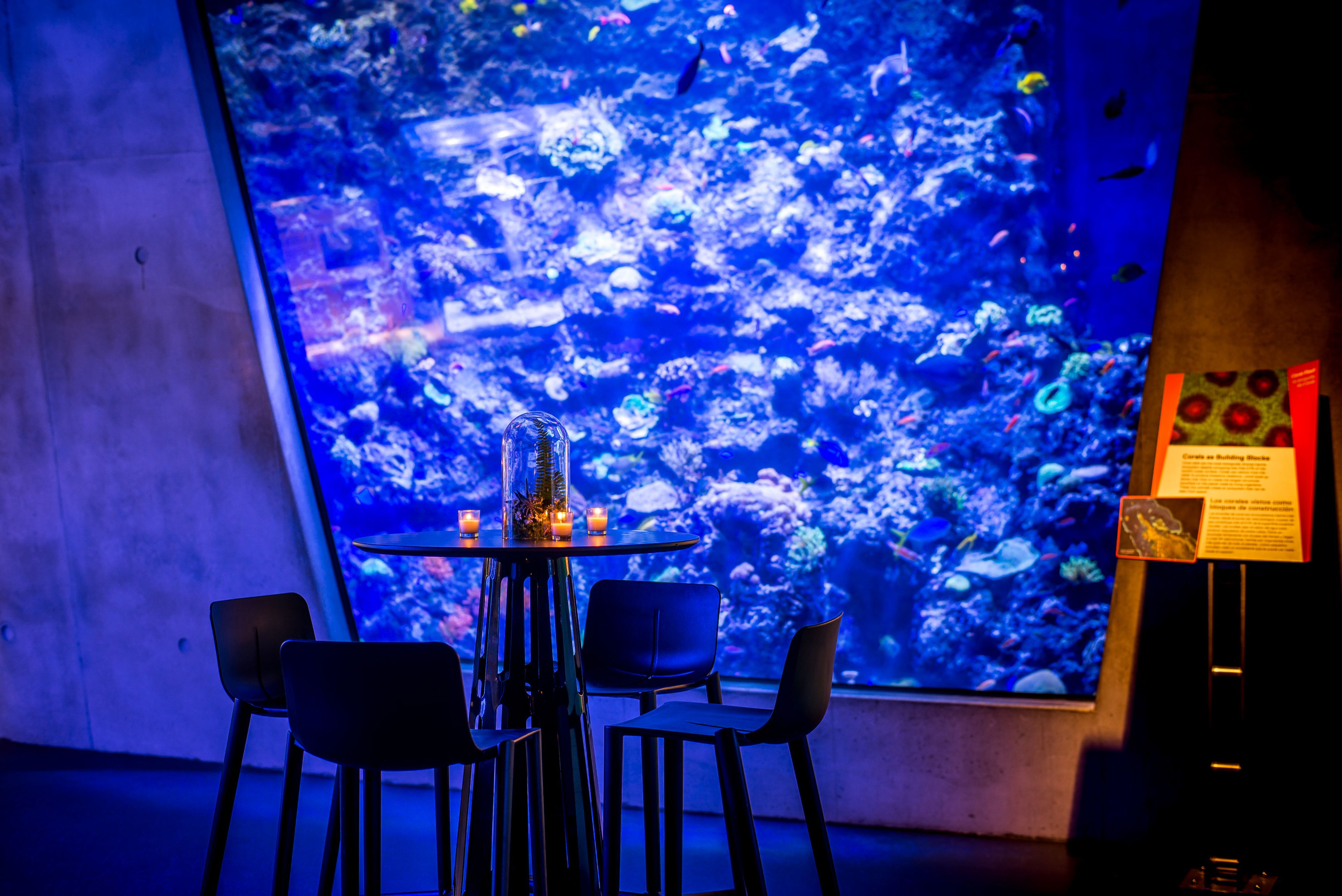 Cover photo of The Phillip and Patricia Frost Museum of Science