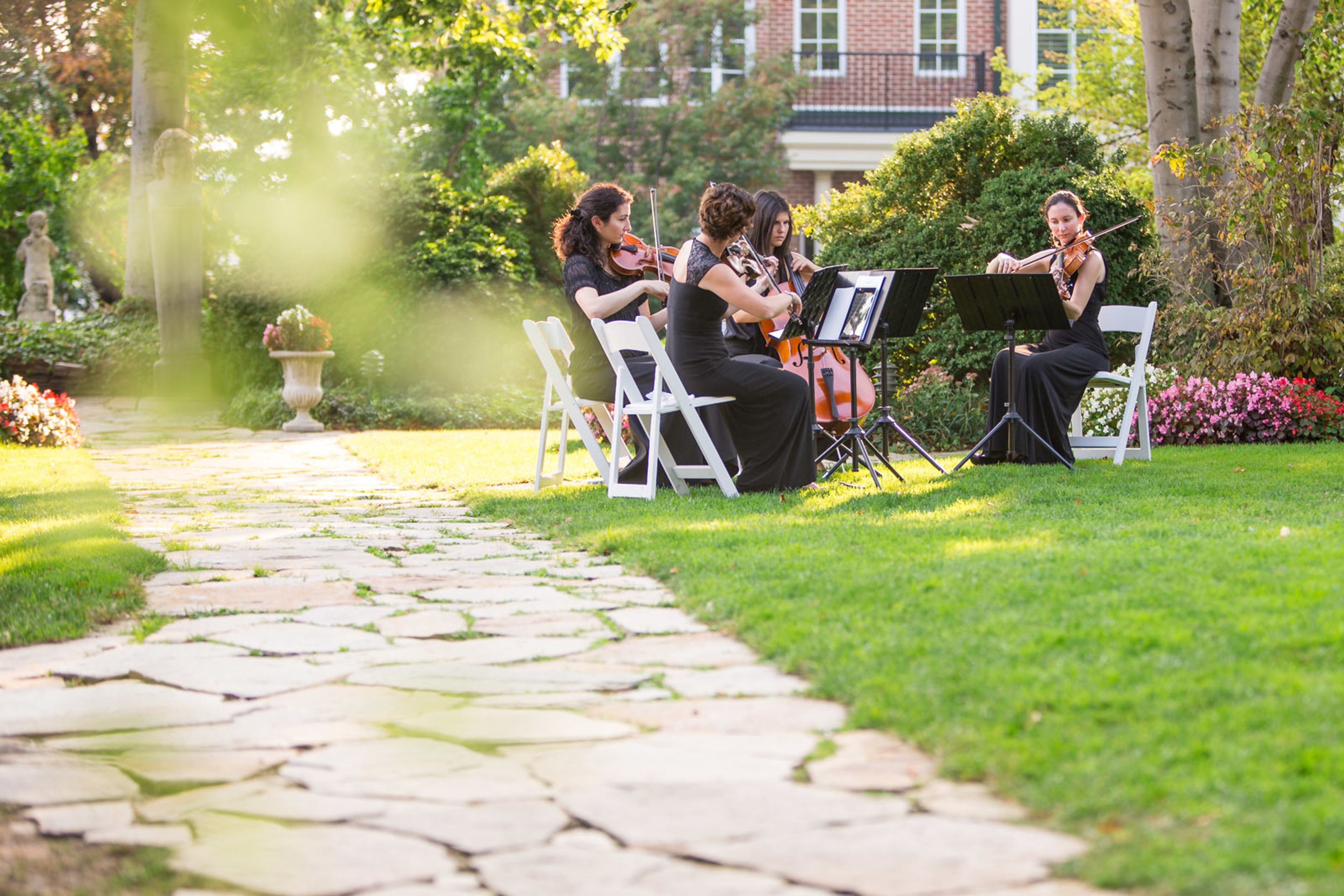 Cover photo of Sage String Quartet