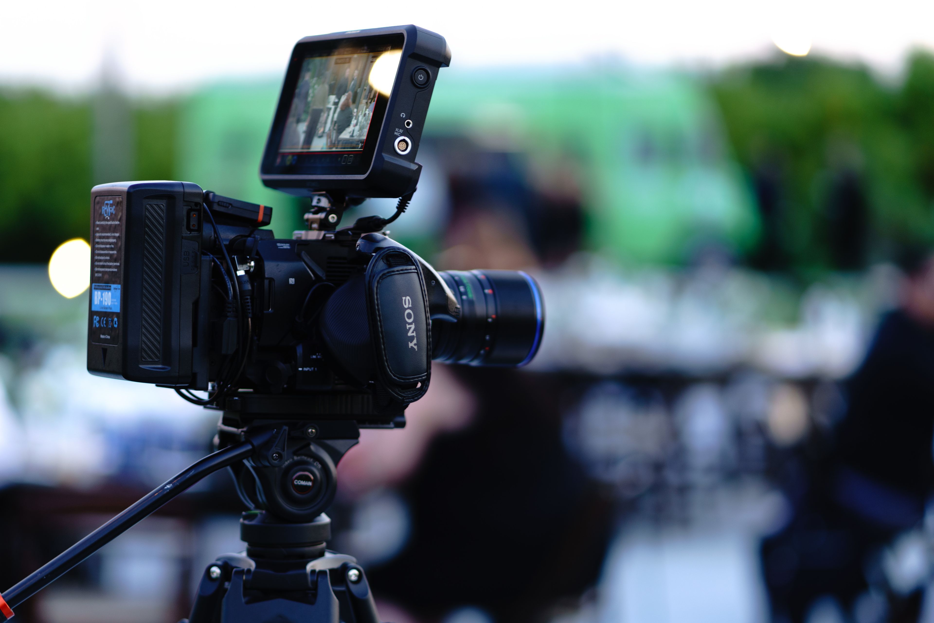 Cover photo of Magical Multimedia