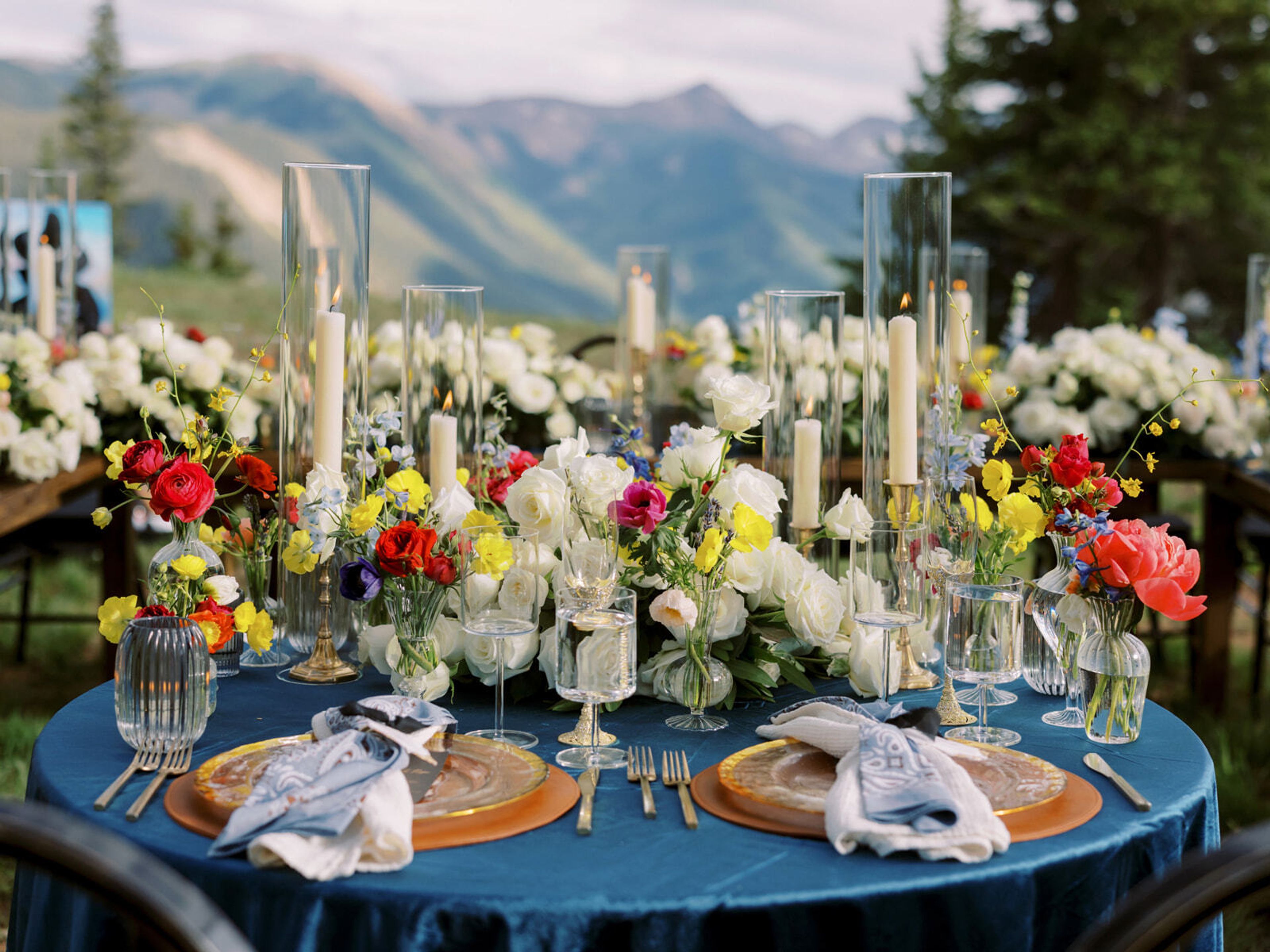 Cover photo of Mountain Flowers of Aspen