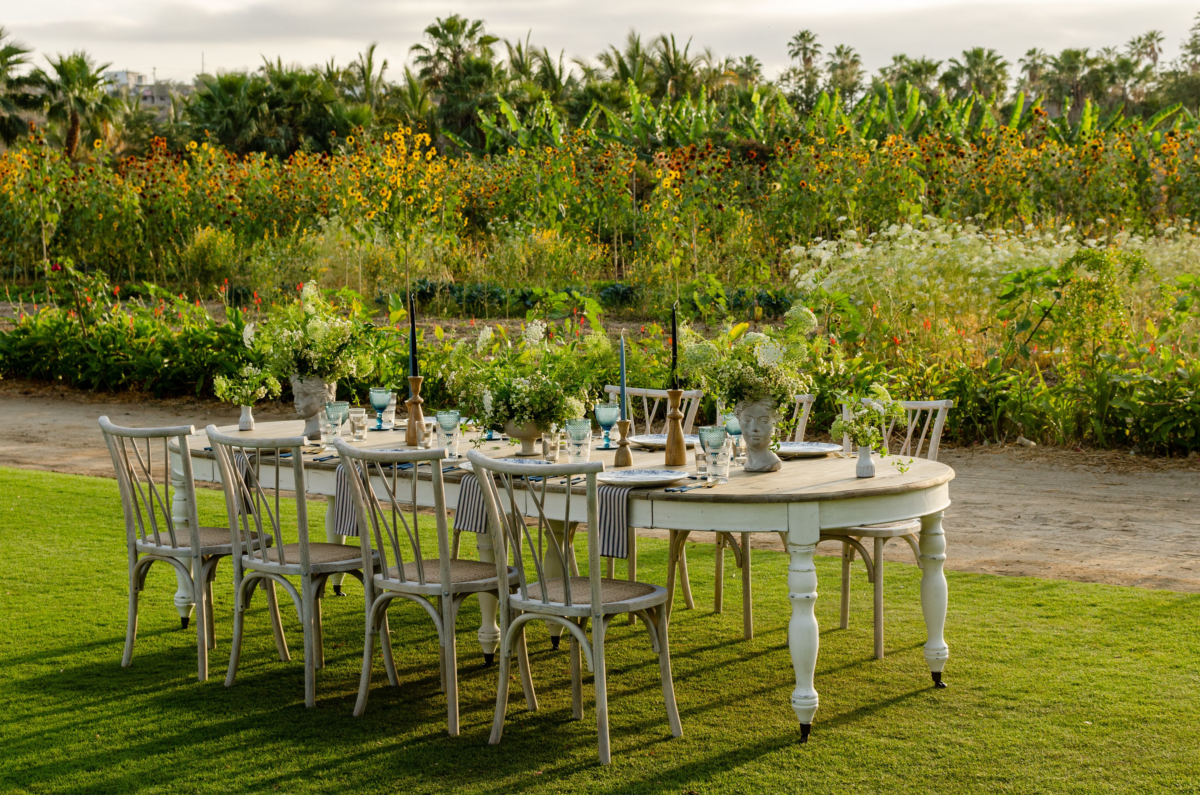 Cover photo of Del Cabo Events